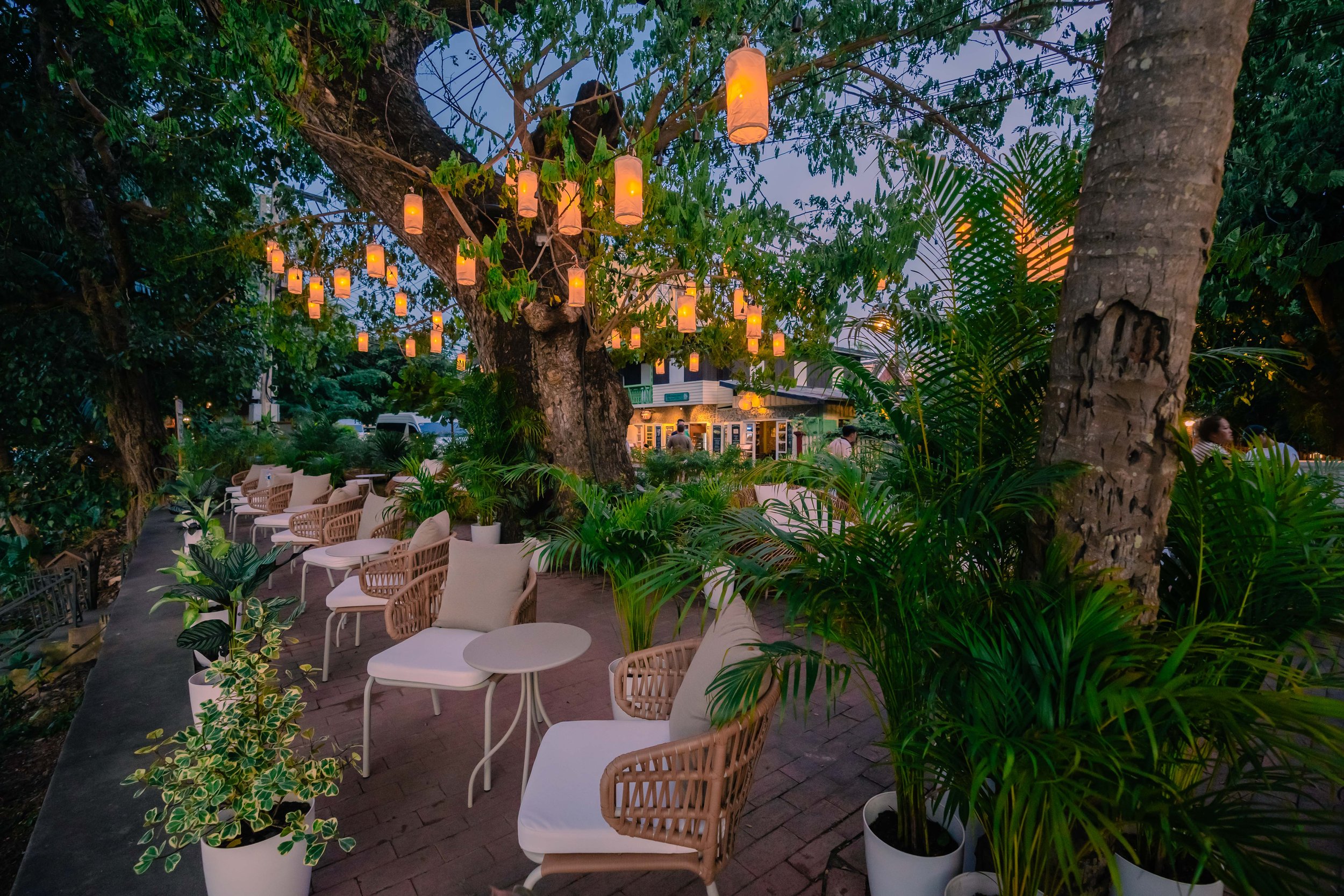 Copy of DSC01579.jpg