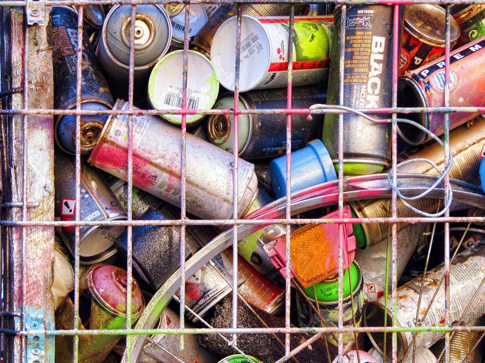 Bild von Caro Sodar auf Pixabay.jpg