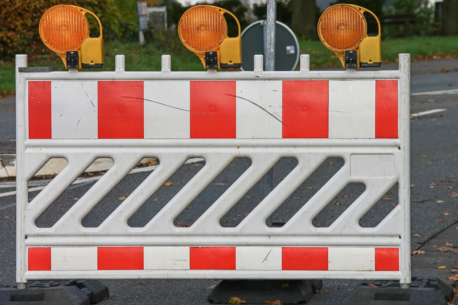 Bild von Manfred Richter auf Pixabay.jpg