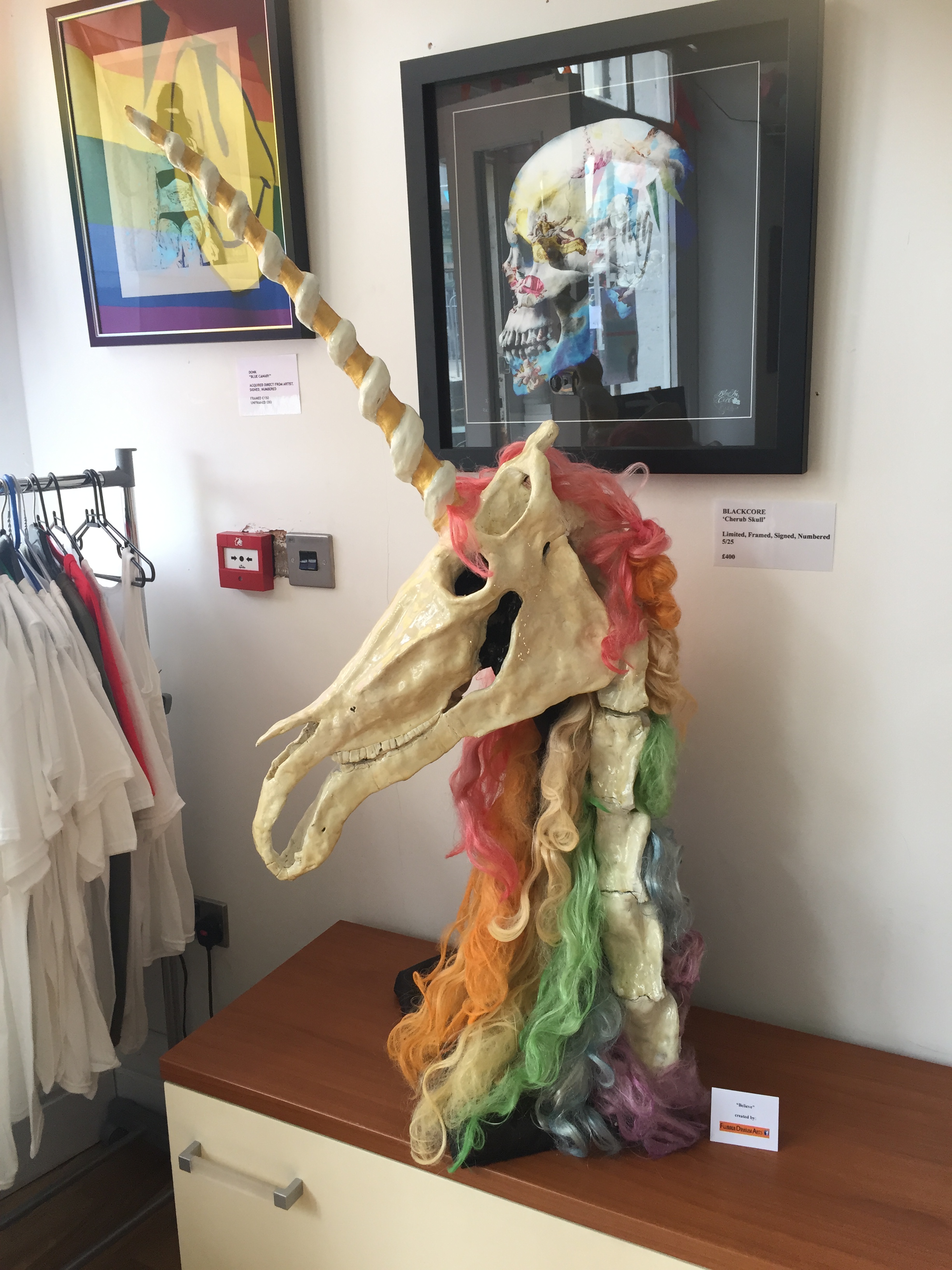 Big Gay Unicorn Skull, made especially for CHAPTER XIII for PRIDE.. because you cant have a pride party without a homosexual unicorn... This will be on display in the gallery for the next few weeks and is open to offers.. See, Proof.. UNICORNS ARE REAL!! 