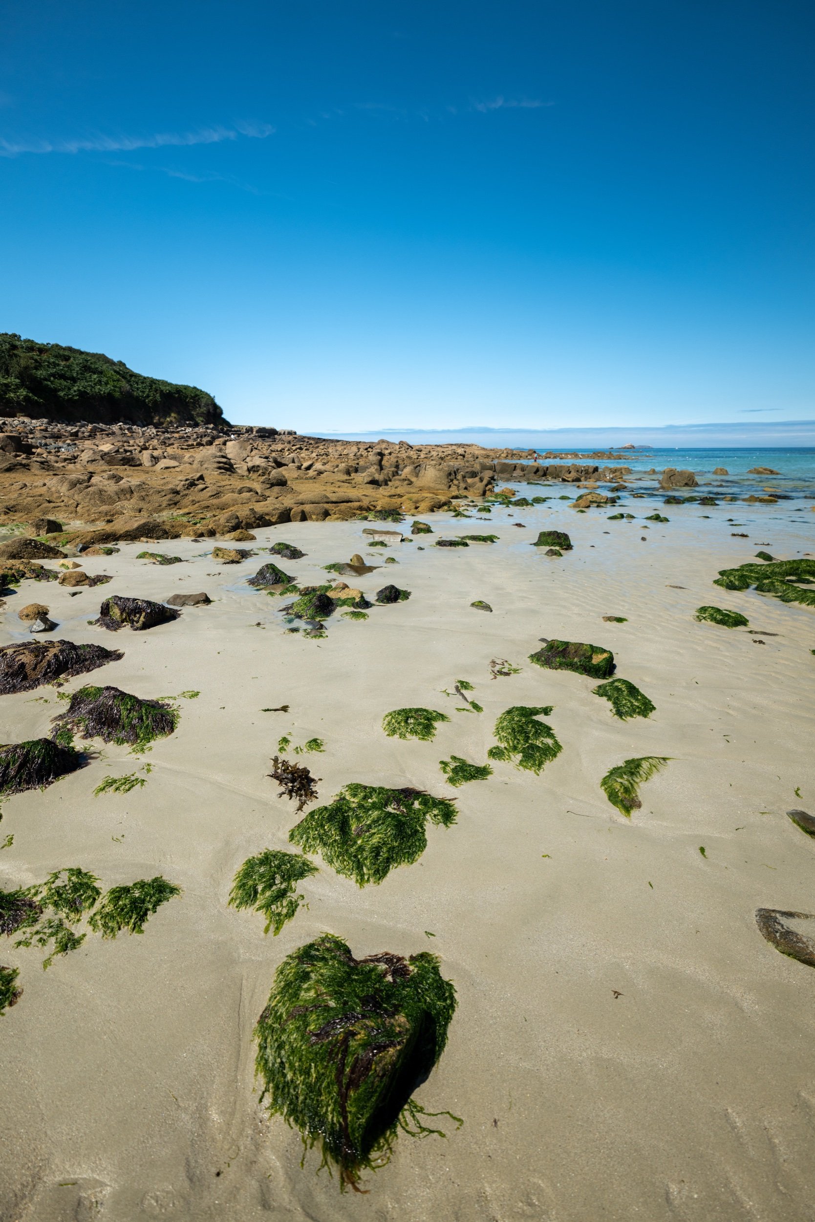 20240810 Bretagne-1110186.jpeg