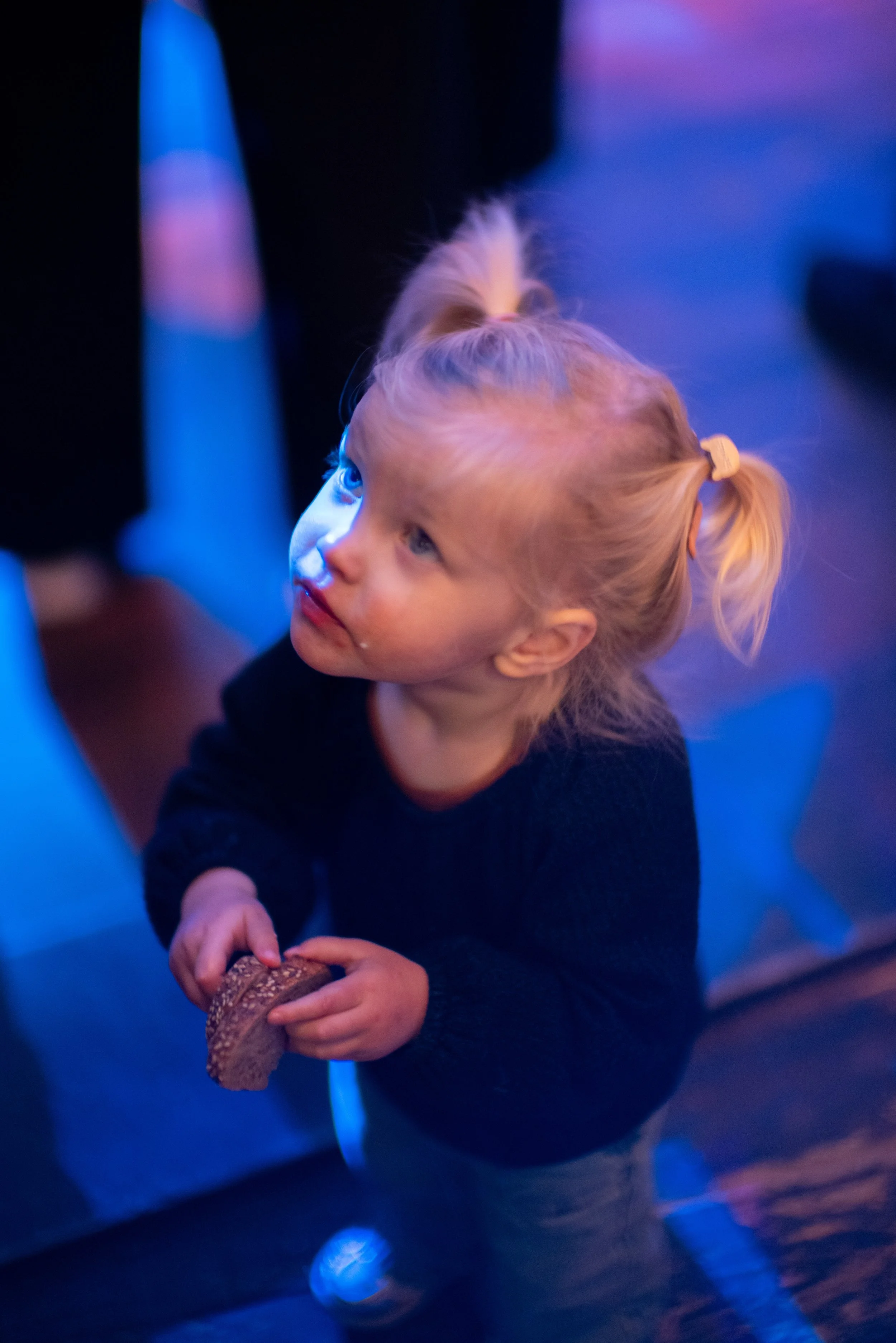 20241109 Oratie Levi-1150828.jpg