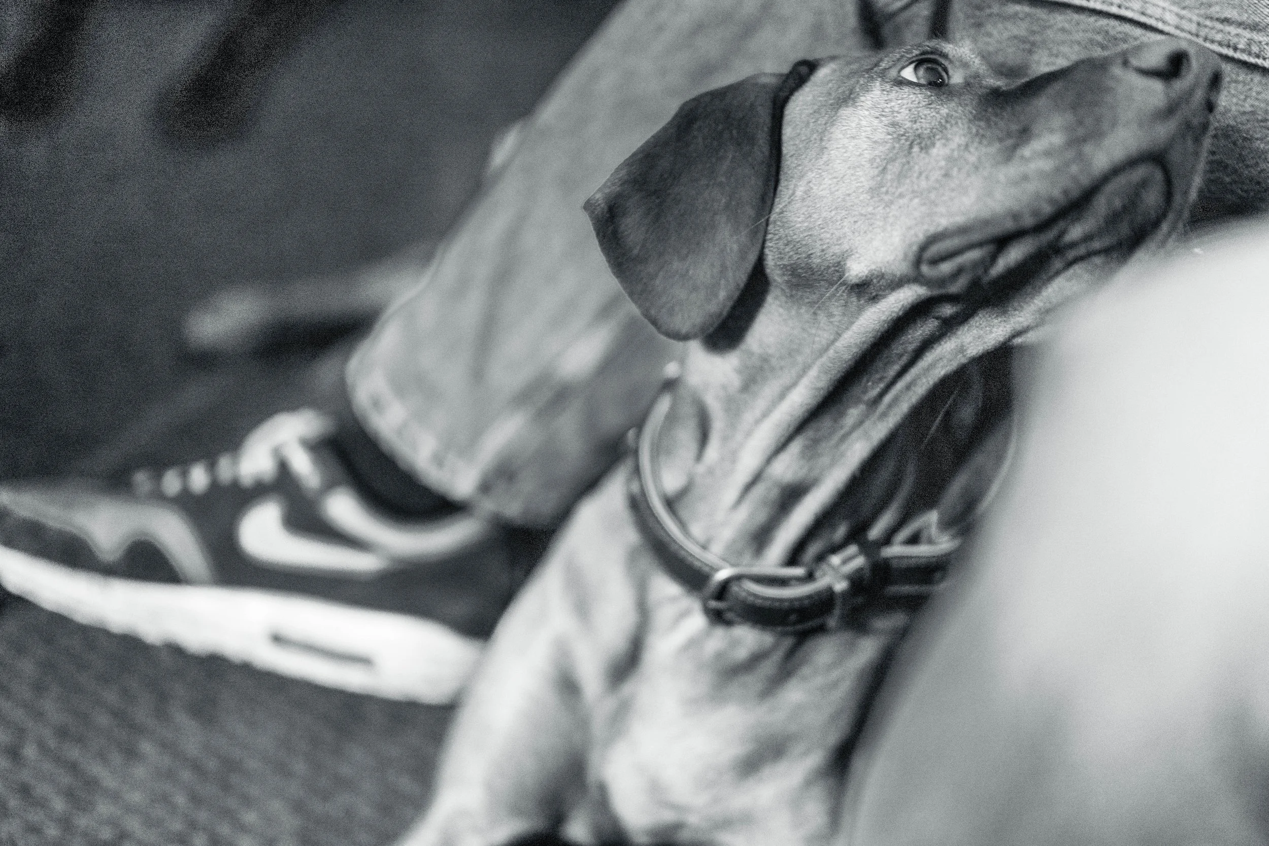 20251206 Sinterklaas-1010613-2.jpg