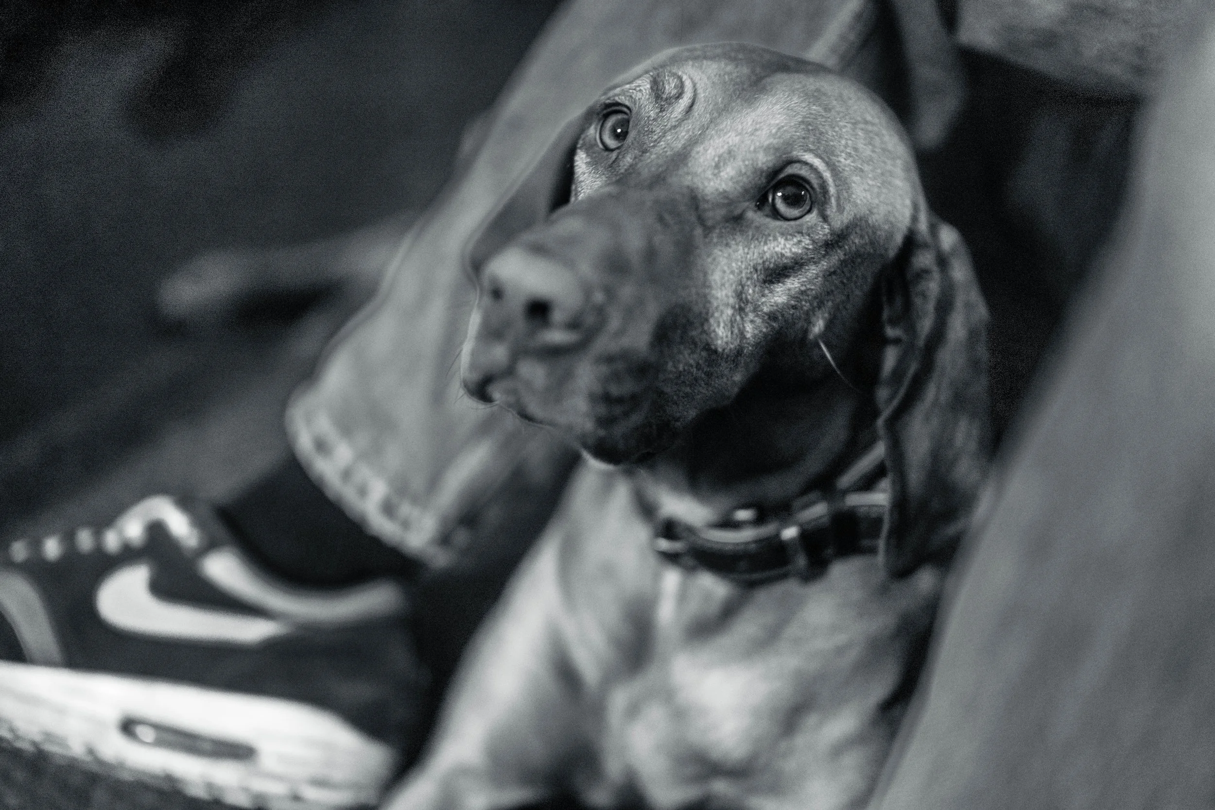 20251206 Sinterklaas-1010612-2.jpg