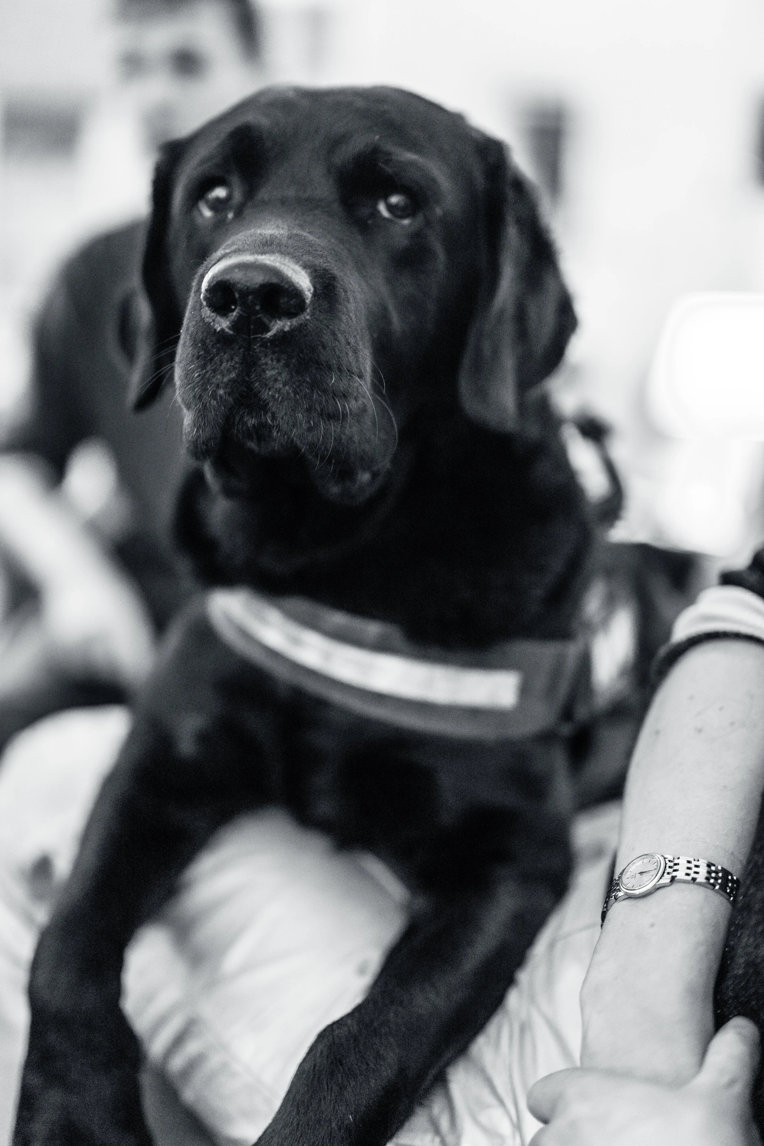 20251225 Kerst-1020277.jpg