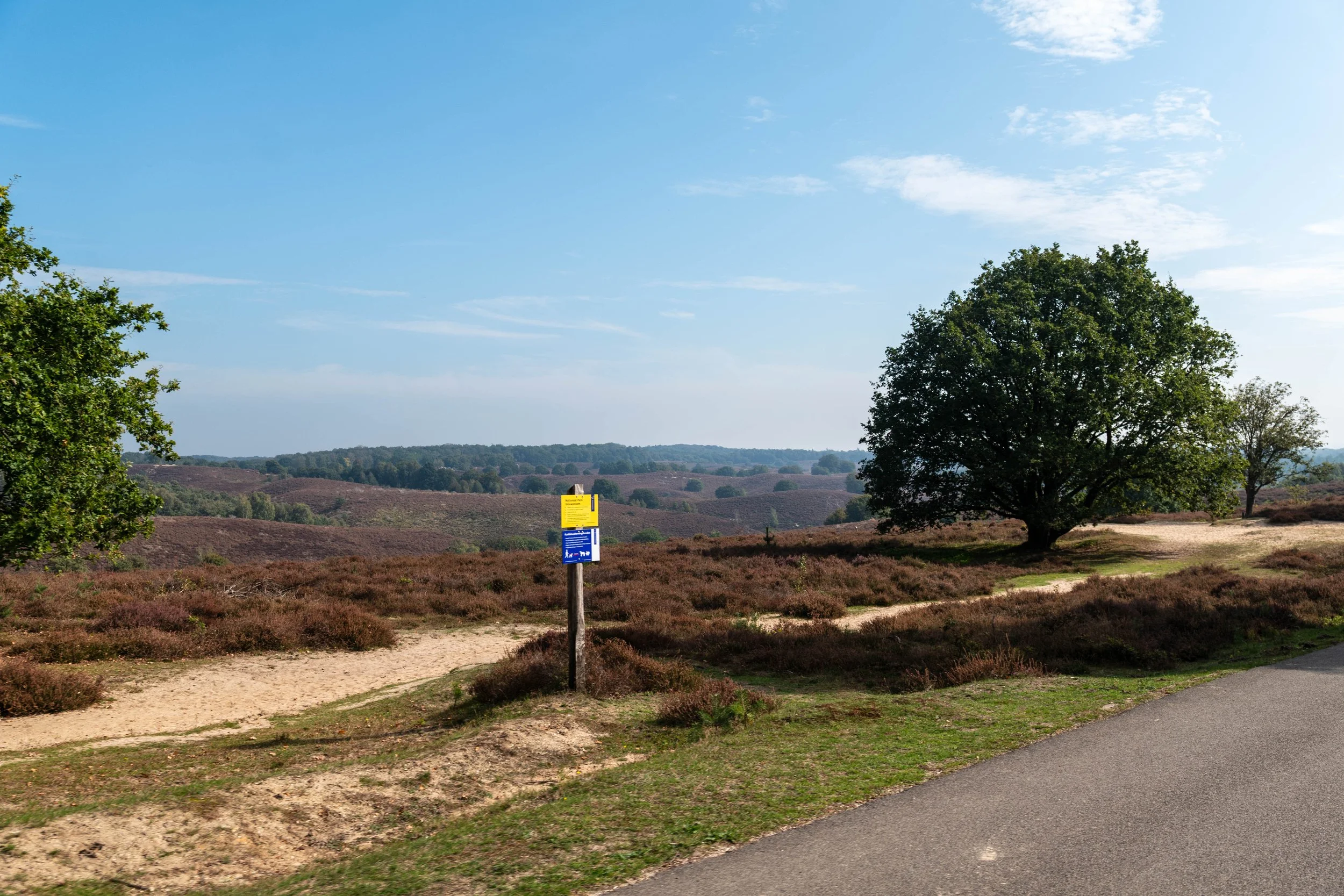 20260927 Summerexit-1050583.jpg