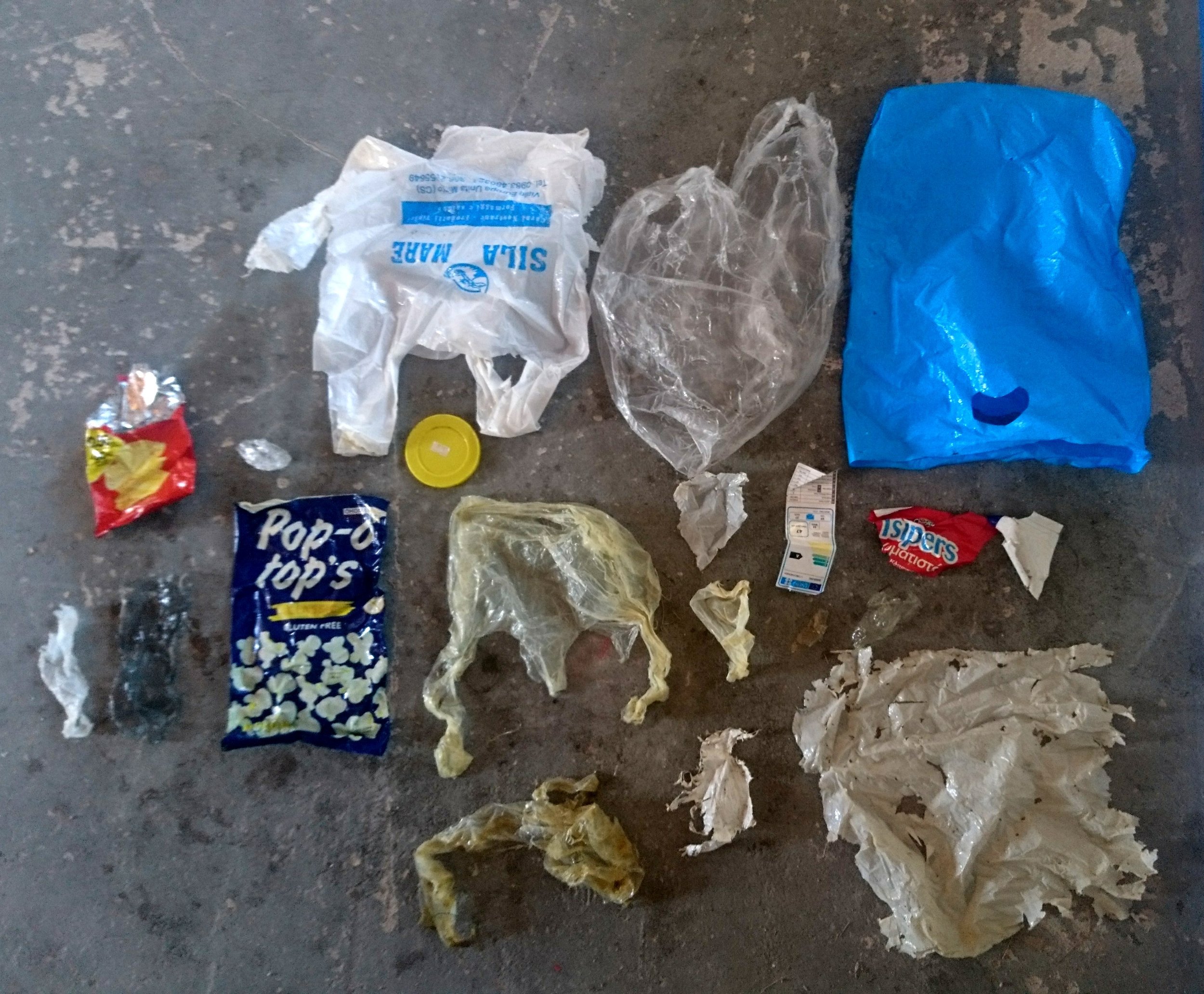 Floating plastic picked in a 2 hour paddle. Turtles confuse clear plastic bags for jelly fish which form part of their diets.