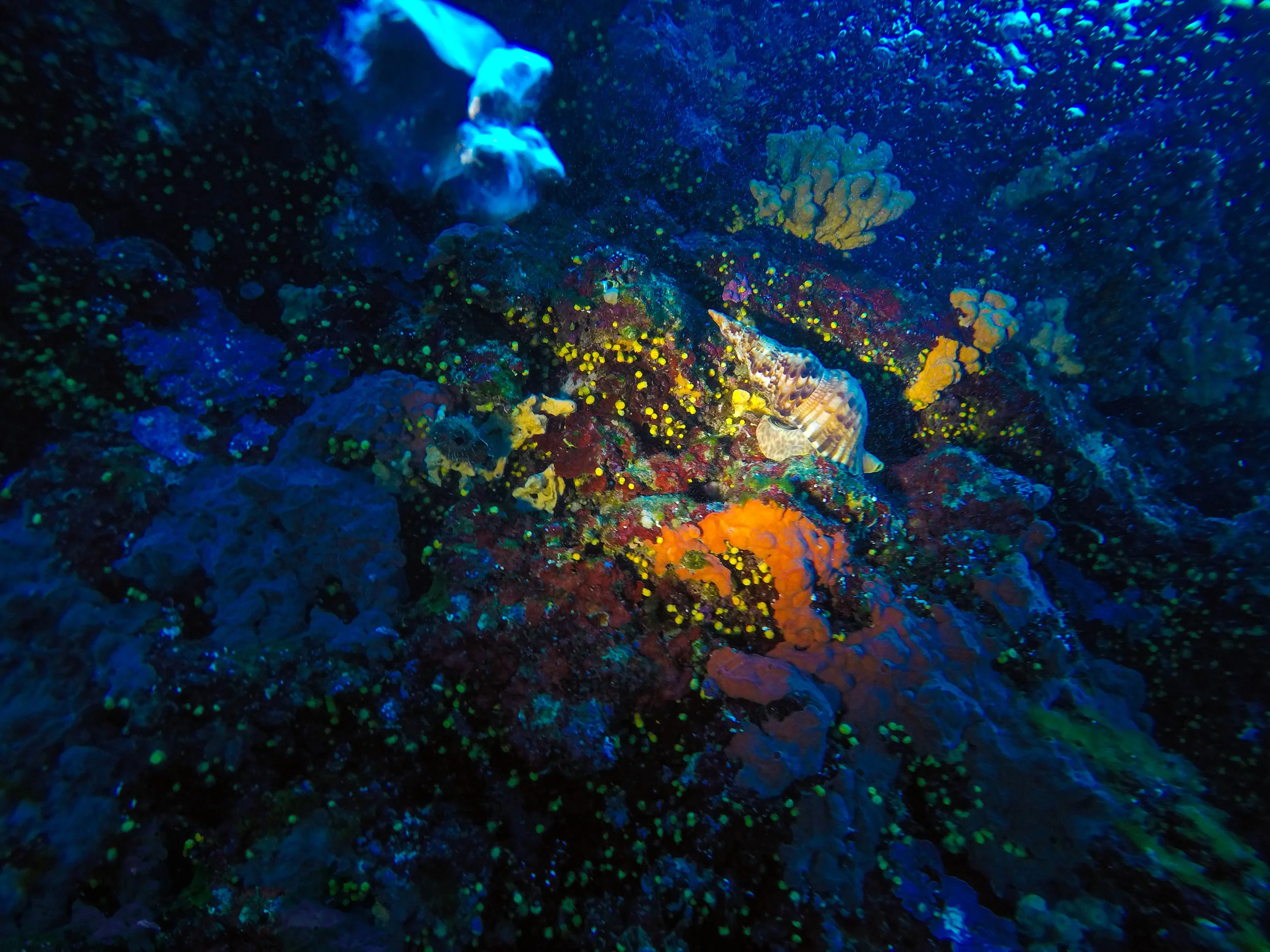 DCIM\101GOPRO\GOPR8080.