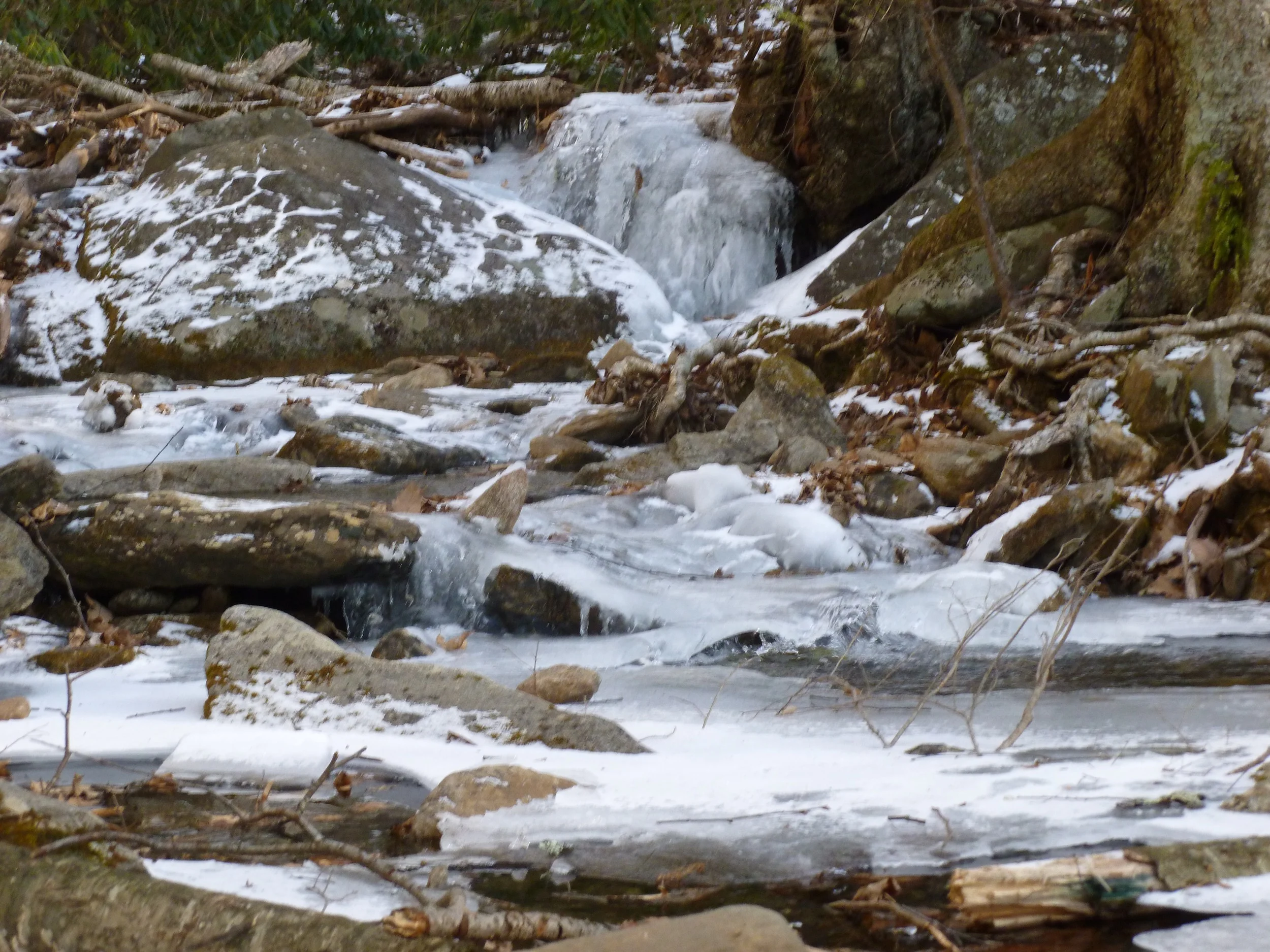 Graybeard stream crossing, Greybeard Trail