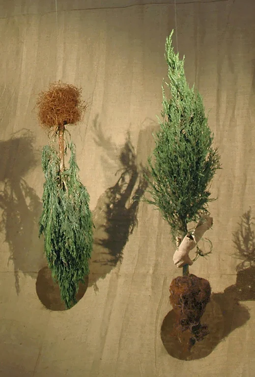 Uproot-Reroot DETAIL