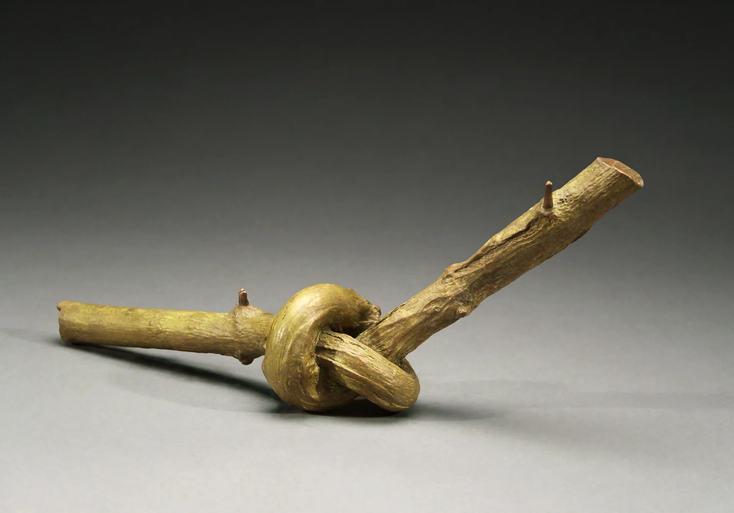 Knotted Branch