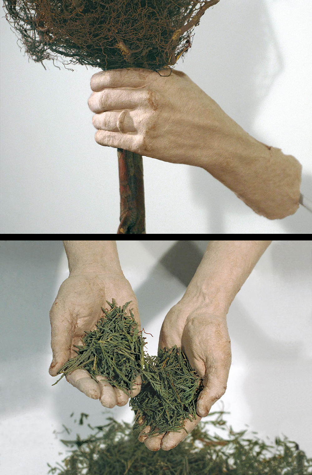 Action & Consequence - DETAIL