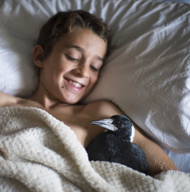 Screen Shot 2015-07-06 at 15.14.14.png