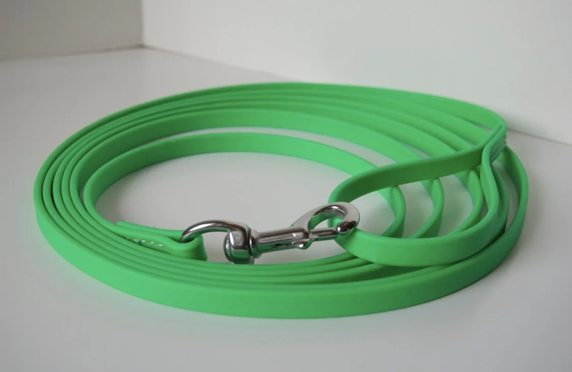 lunge leash