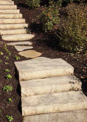LANDING STEPS.png