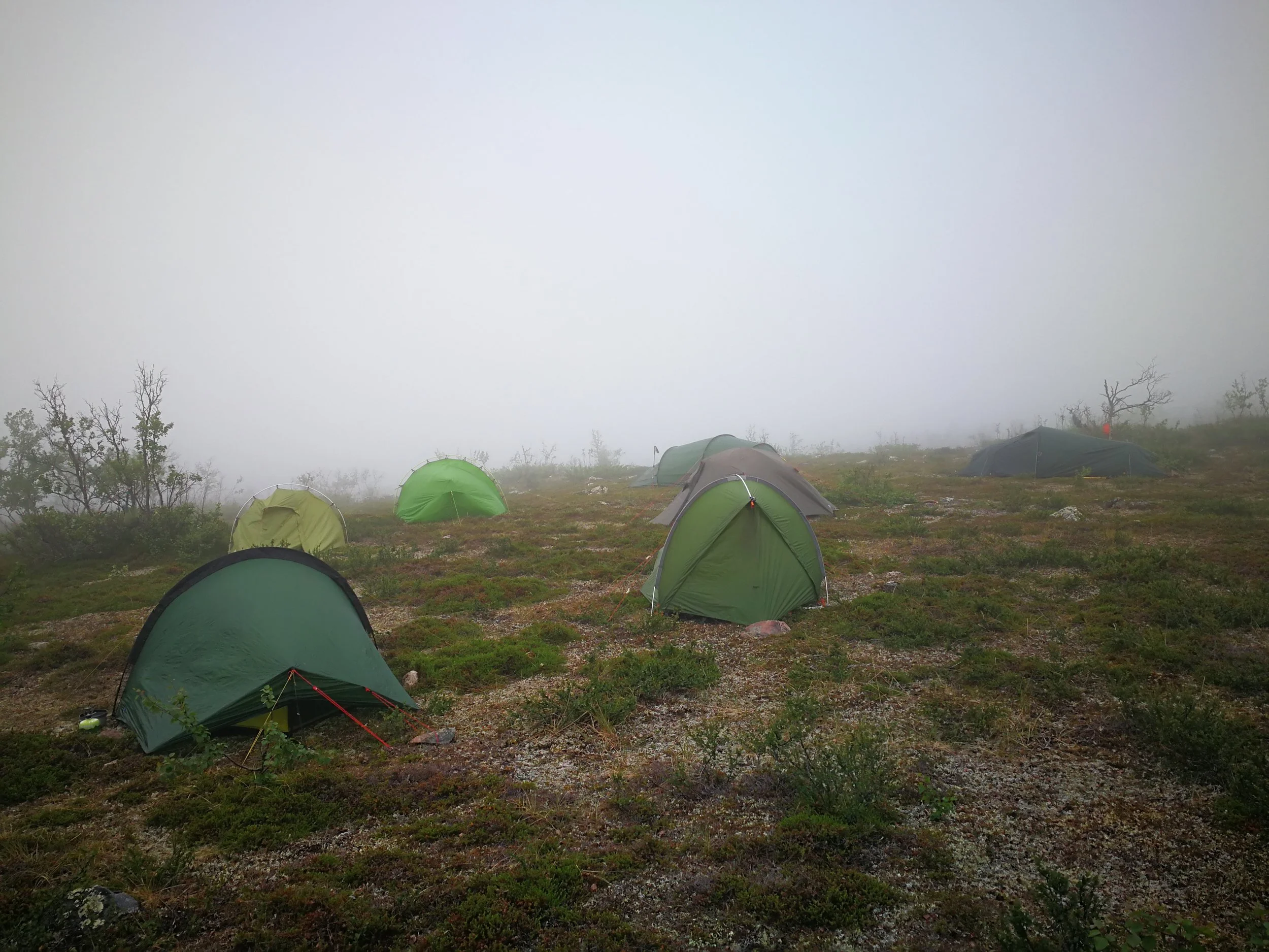 In the mist, I couldn't see far ahead. Suddenly, I stumbled over a gathering of at least 20 tents.