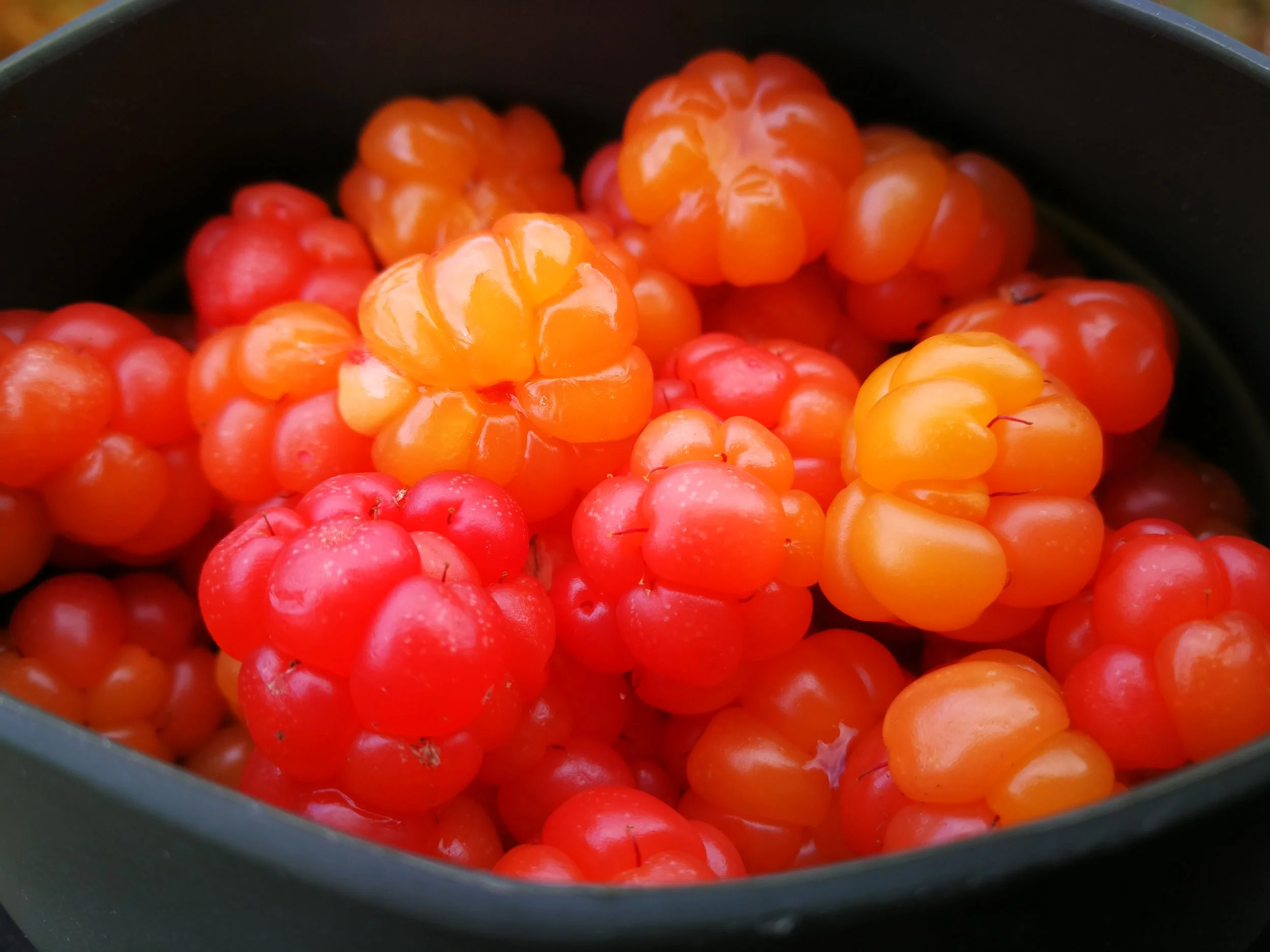 Cloudberries for breakfast. Mmmm!