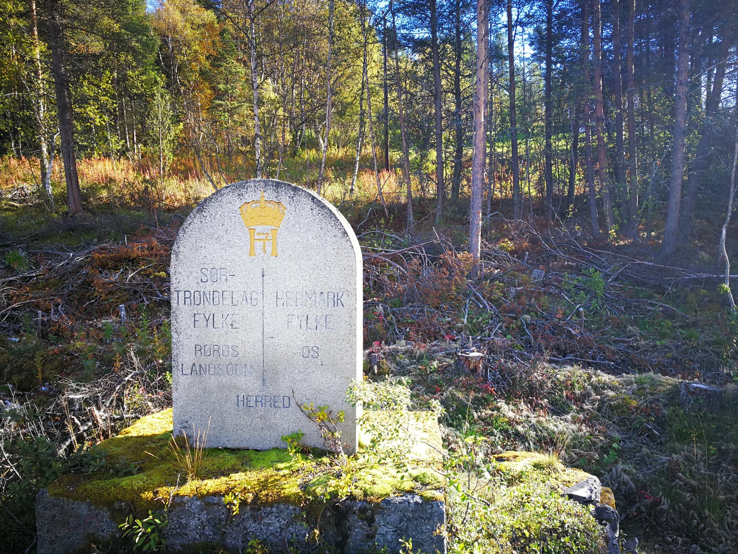Entering Hedmark fylke (county). Woop! 