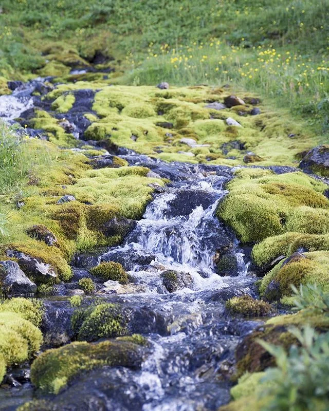 💛
When I walked through Norway, I came across beauty I find hard to describe👣
:::
Wild, running rivers crept over moss-covered stones like serpents 🏞️
The warm light from the evening sun reflected in the icy blue glacier in the far distance of the snow covered mountains.
I was filled with wonder and the beauty became my fuel⛽😍☀️
:::
#beautyallaround #nature #pilgrimage 📸🚶♀️#thruhiking #norgepålangs #NPL 🇳🇴