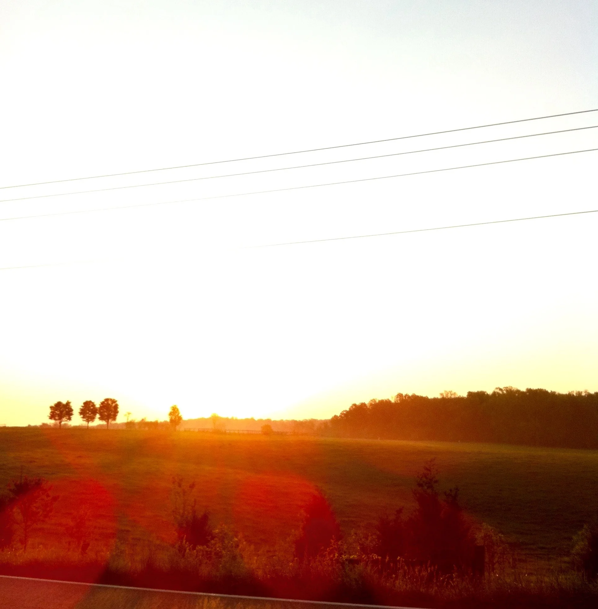 Holly's Photography: She loves to take and share photos of interesting light and beauty. "Be gentle with everyone you meet. Be kind to everyone's spirit; you have no idea what healing your light can afford." Grace Gealey | Actress