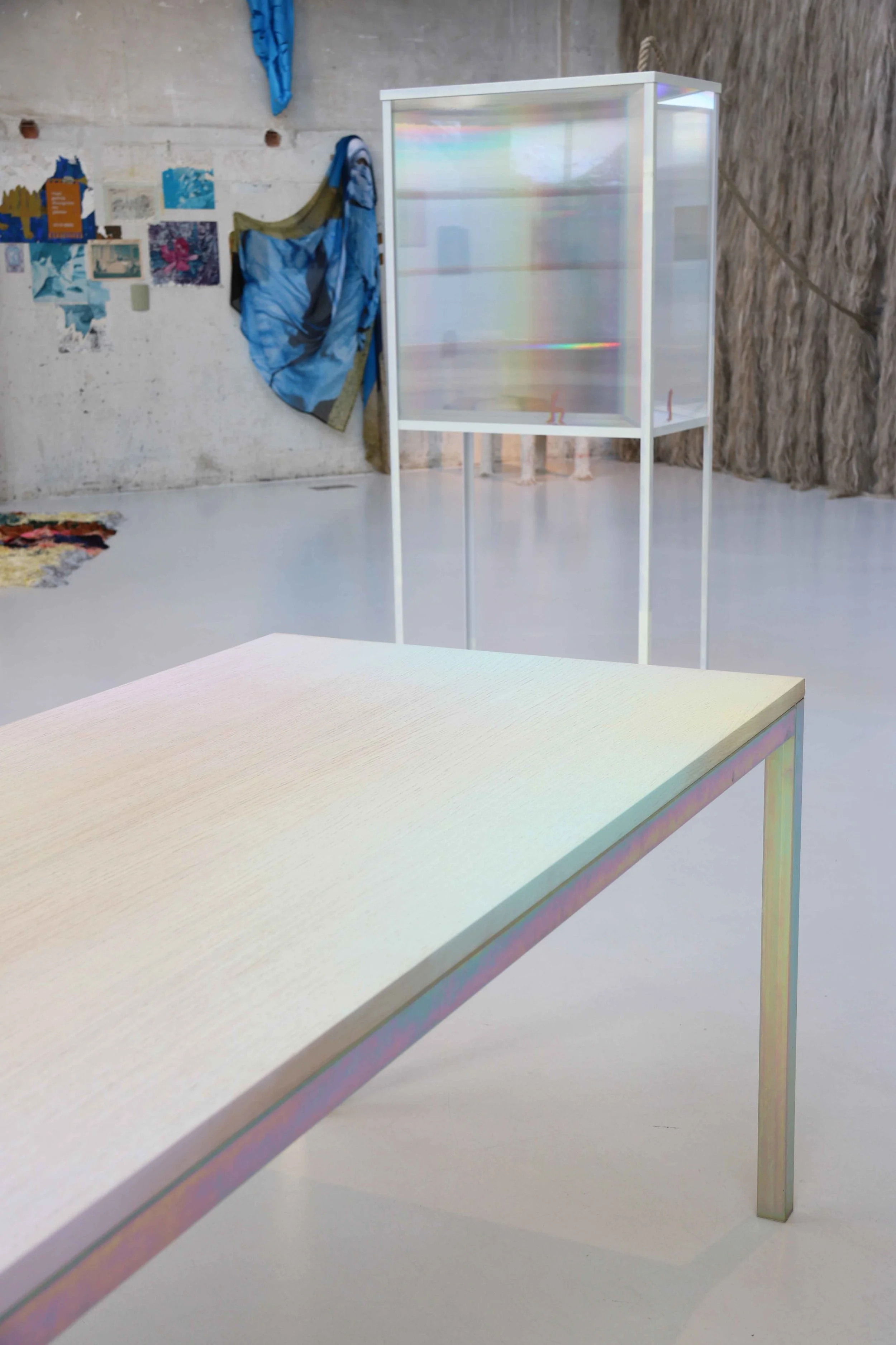 Vitrine for Thought 1 Jantien Roozenburg.jpg