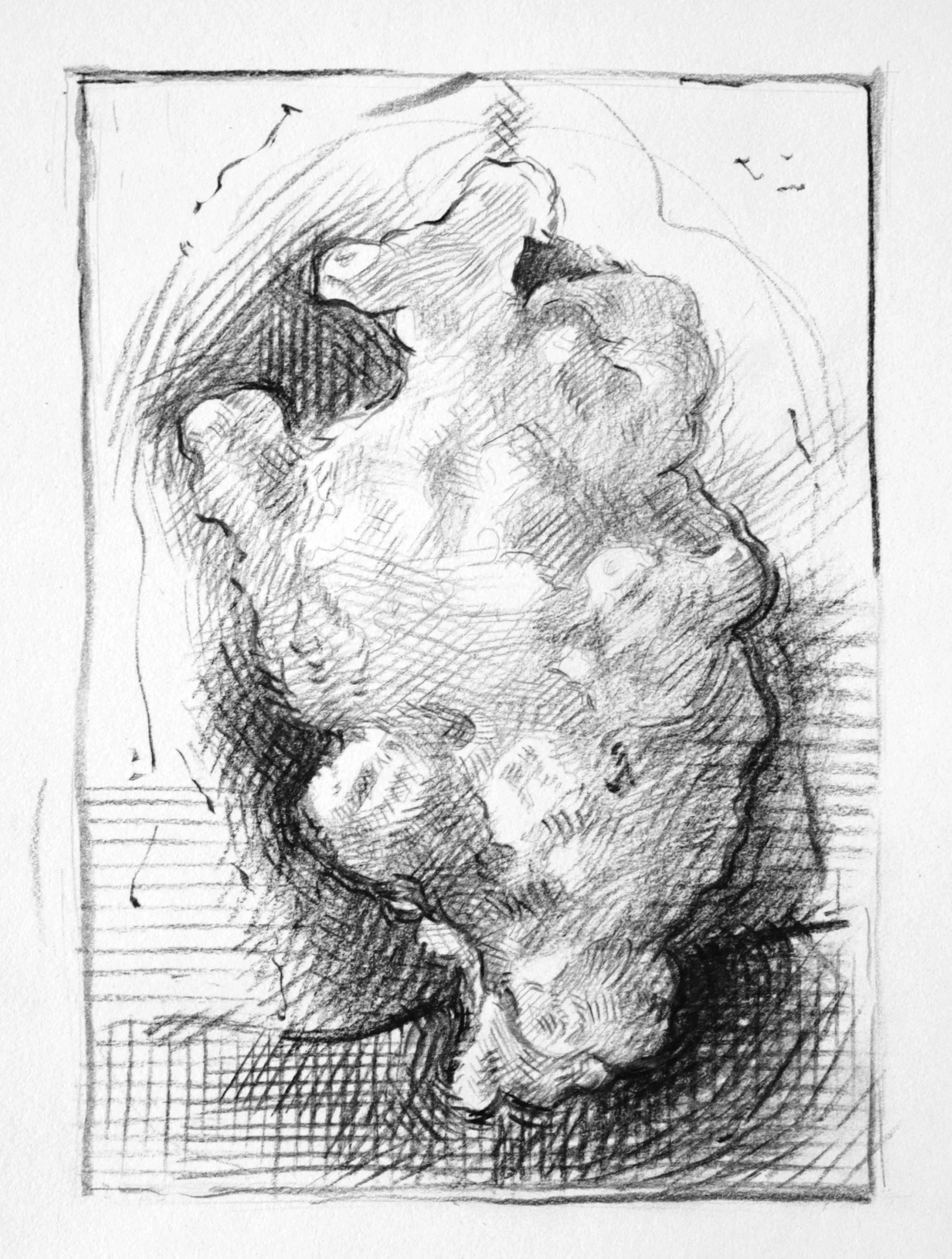 The Organoid_study B.jpg