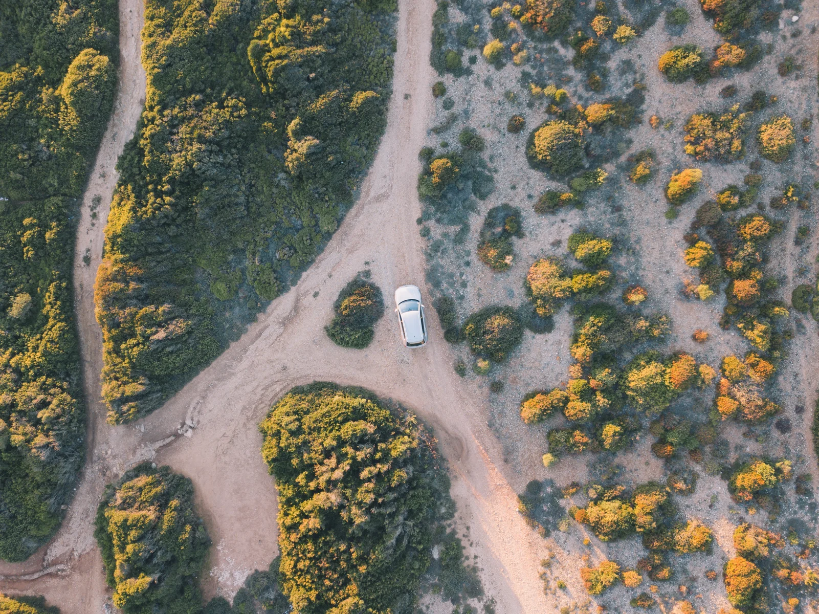 2017.12_DJI_0221_edited_1600s.jpg
