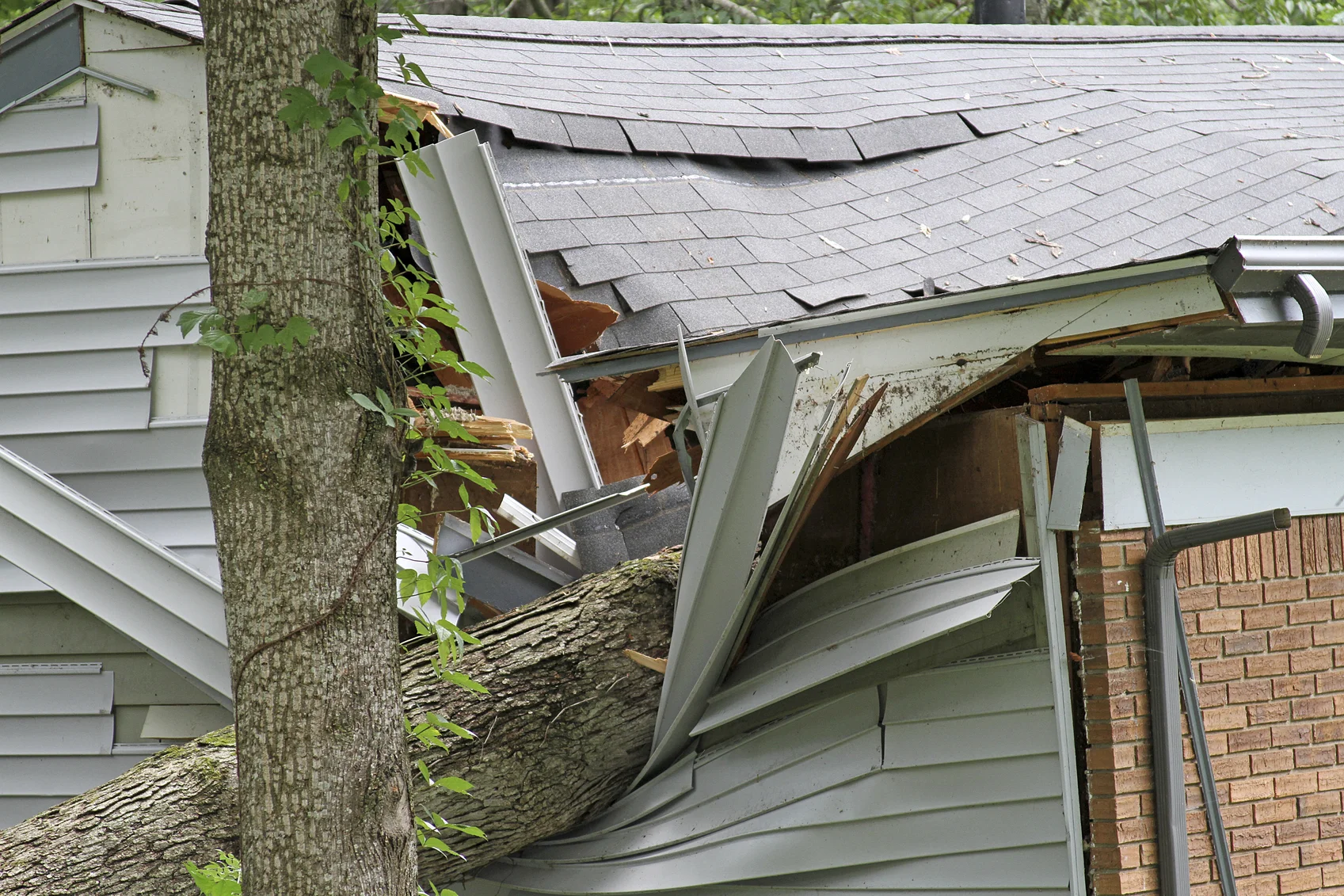 When branches are met with too much stress, they can break and fall on your building with heavy impact.&nbsp;