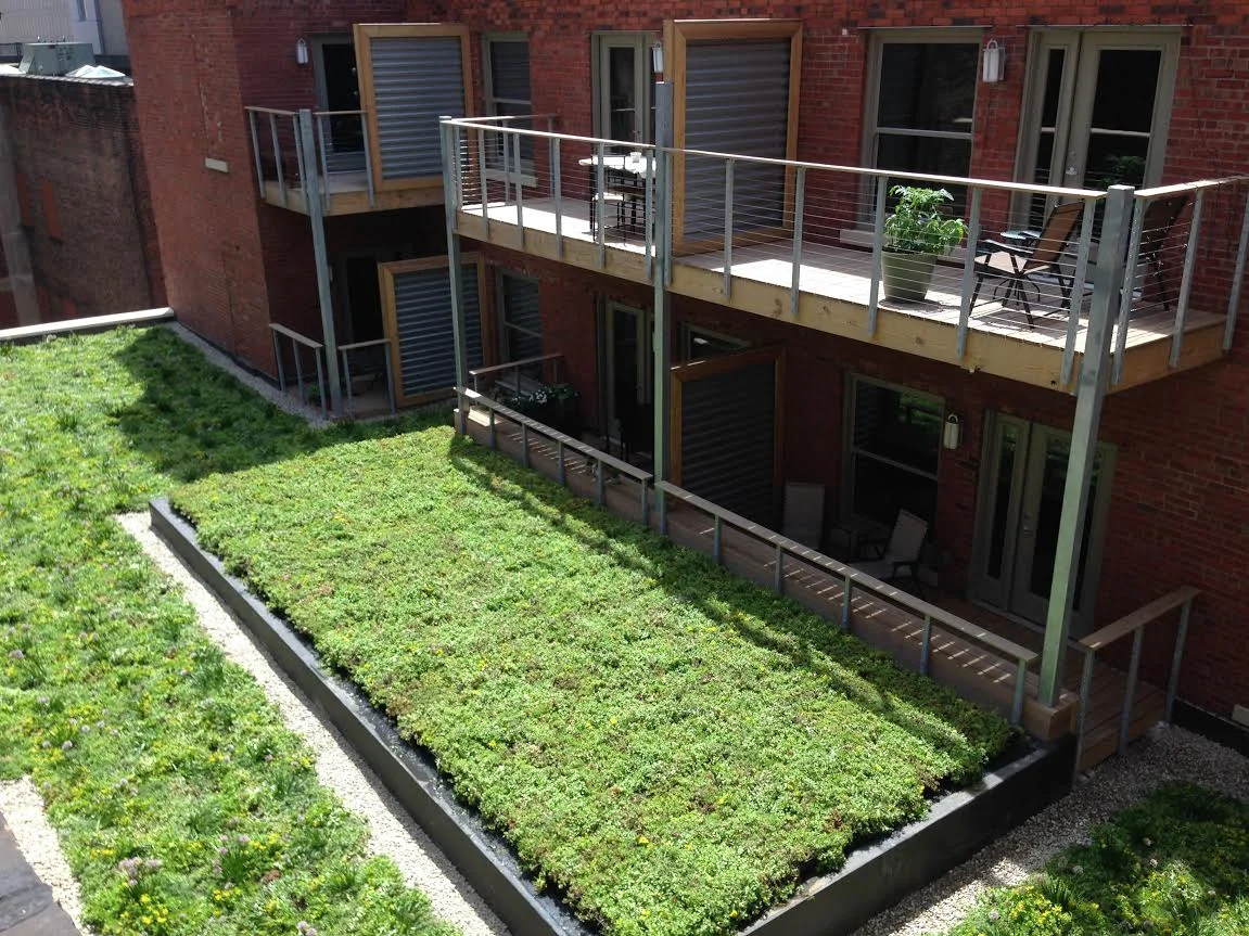 the truman building cleveland the ivory on euclid