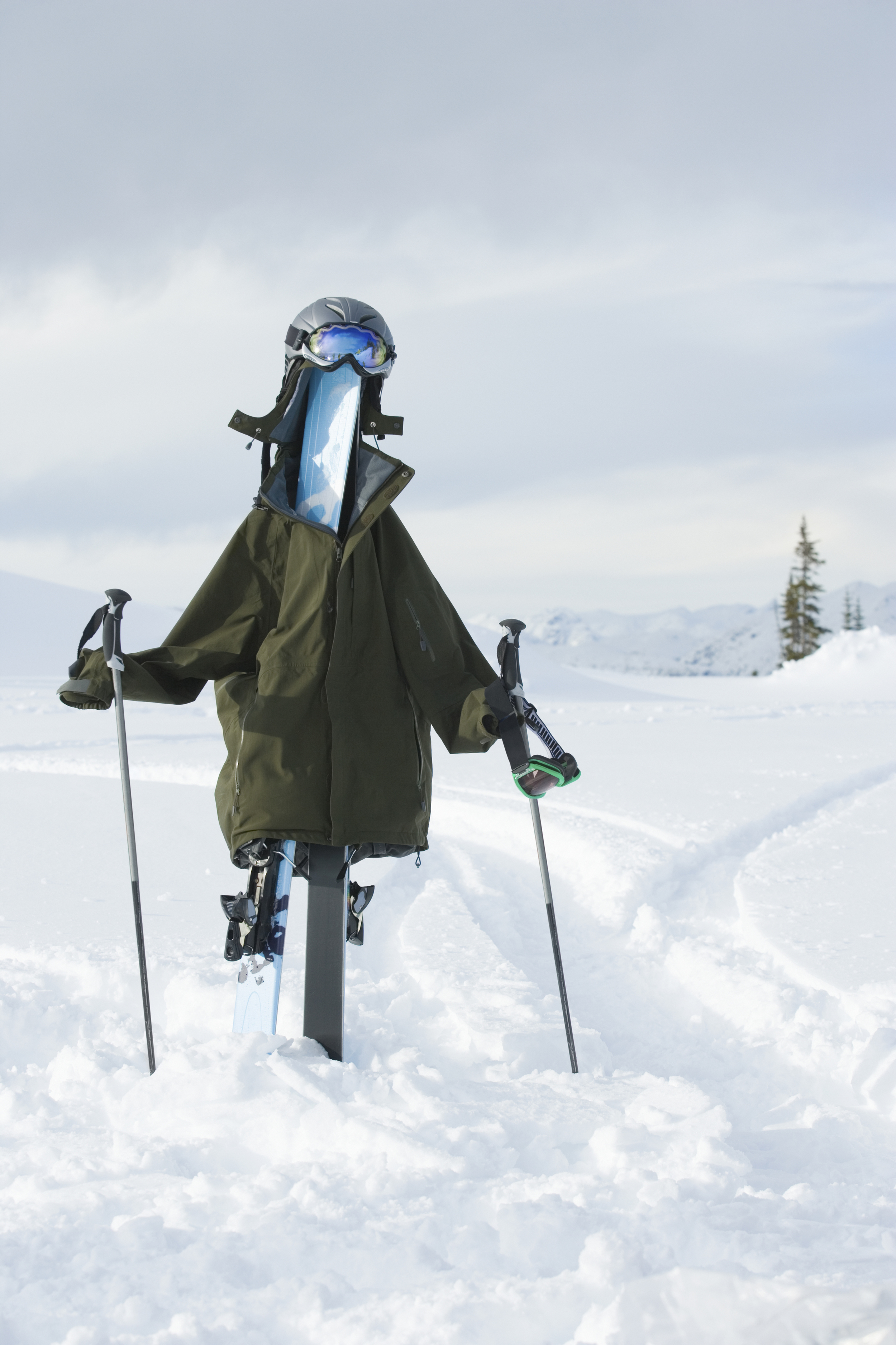 ski