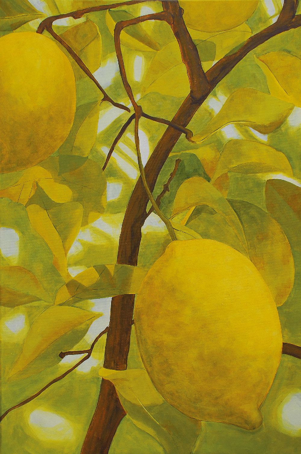  Gaucin Lemons Acrylic on canvas | 600 x 910mm 