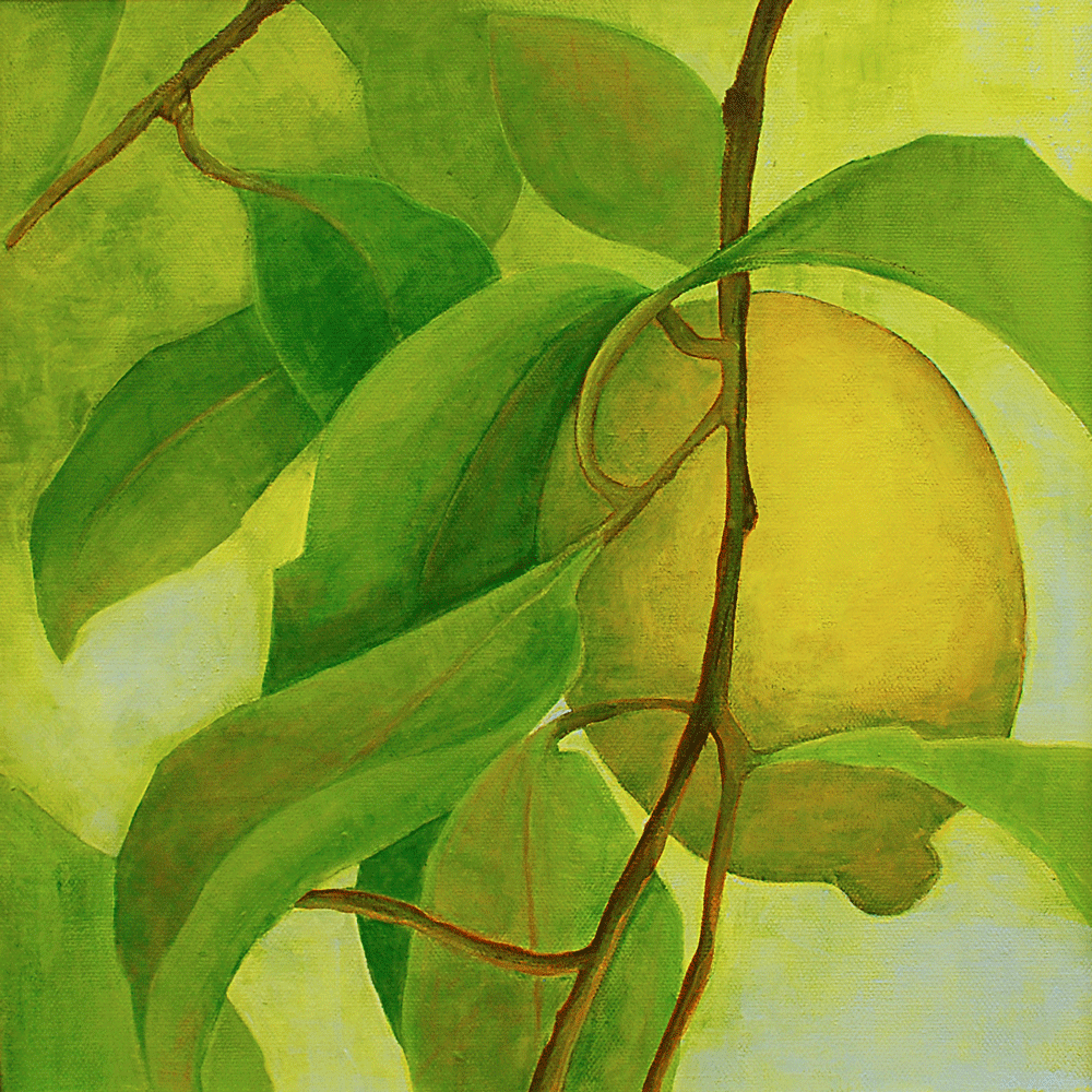  Lemones Espanol 1 Acrylic on canvas | 305 x 305mm 