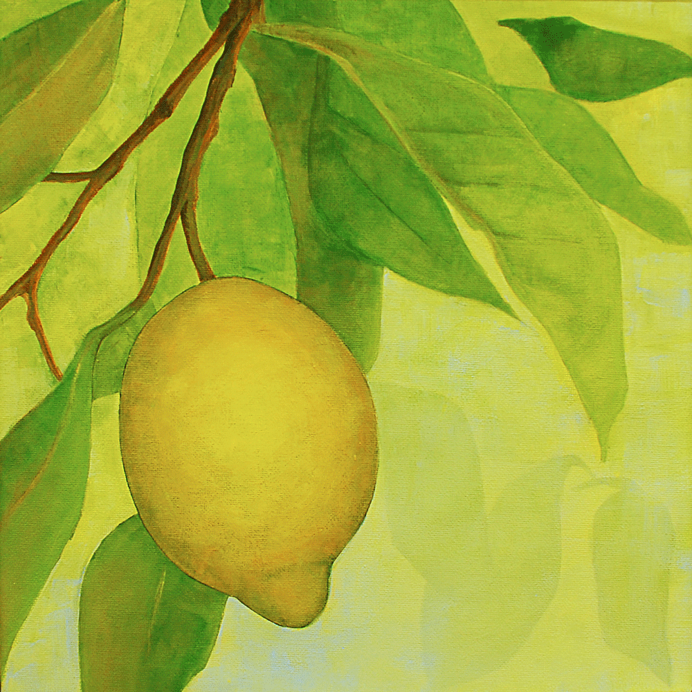  Lemones Espanol 2 Acrylic on canvas | 305 x 305mm 