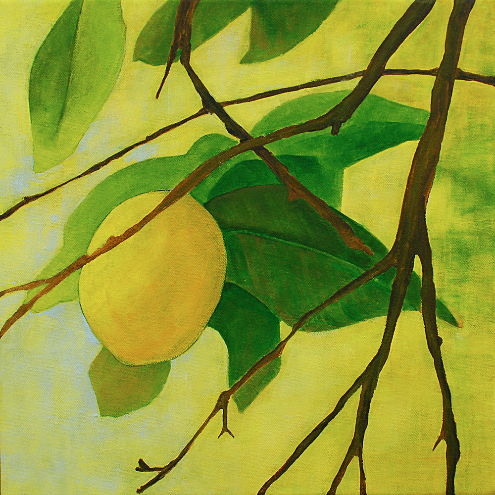  Lemones Espanol 3 Acrylic on canvas | 305 x 305mm 