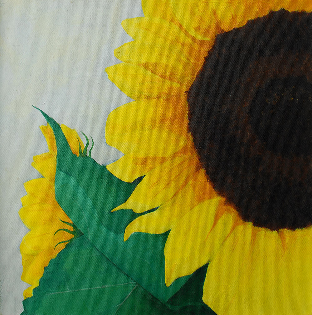  Small Sunflower Acrylic on canvas | 305 x 305mm 