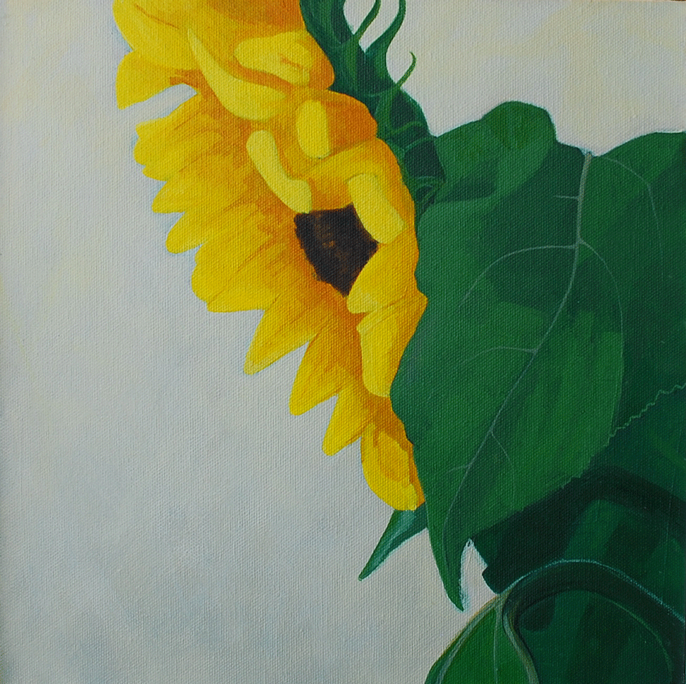  Shy Sunflower Acrylic on canvas | 305 x 305mm 