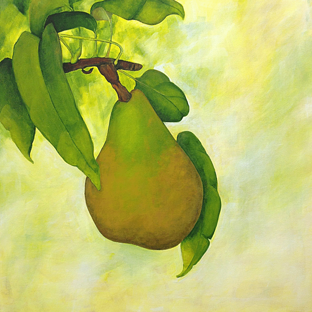  British Pear Acrylic on canvas | 305 x 305mm 