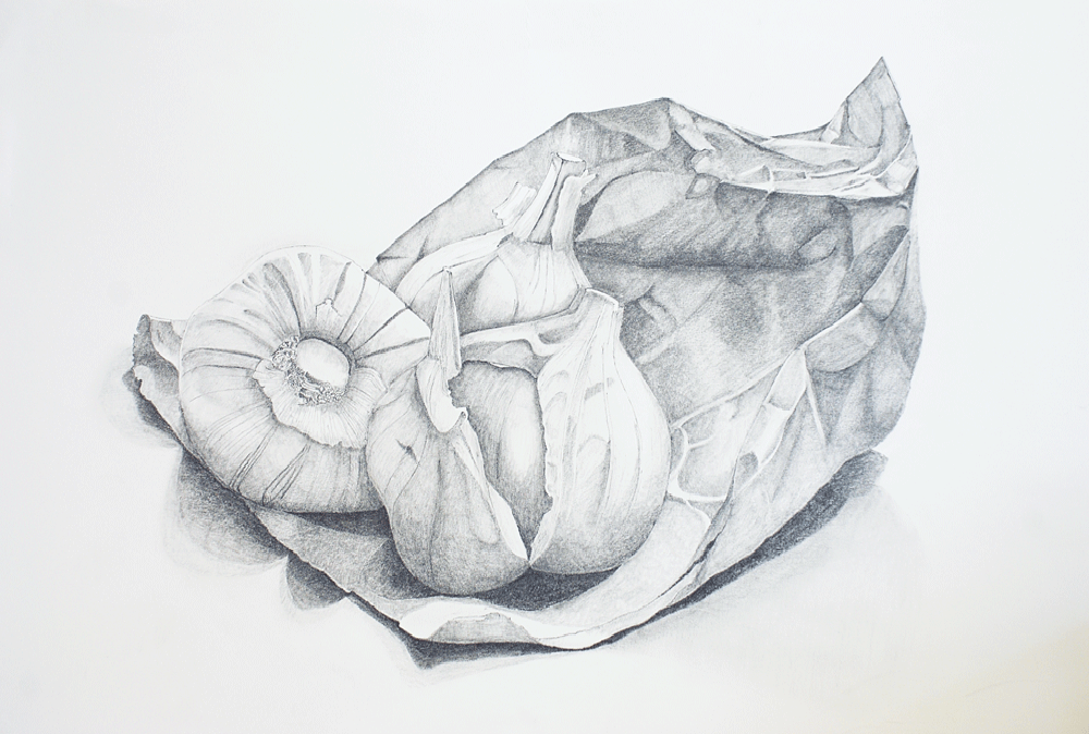  Garlic Pencil on paper | 740 x 550mm 