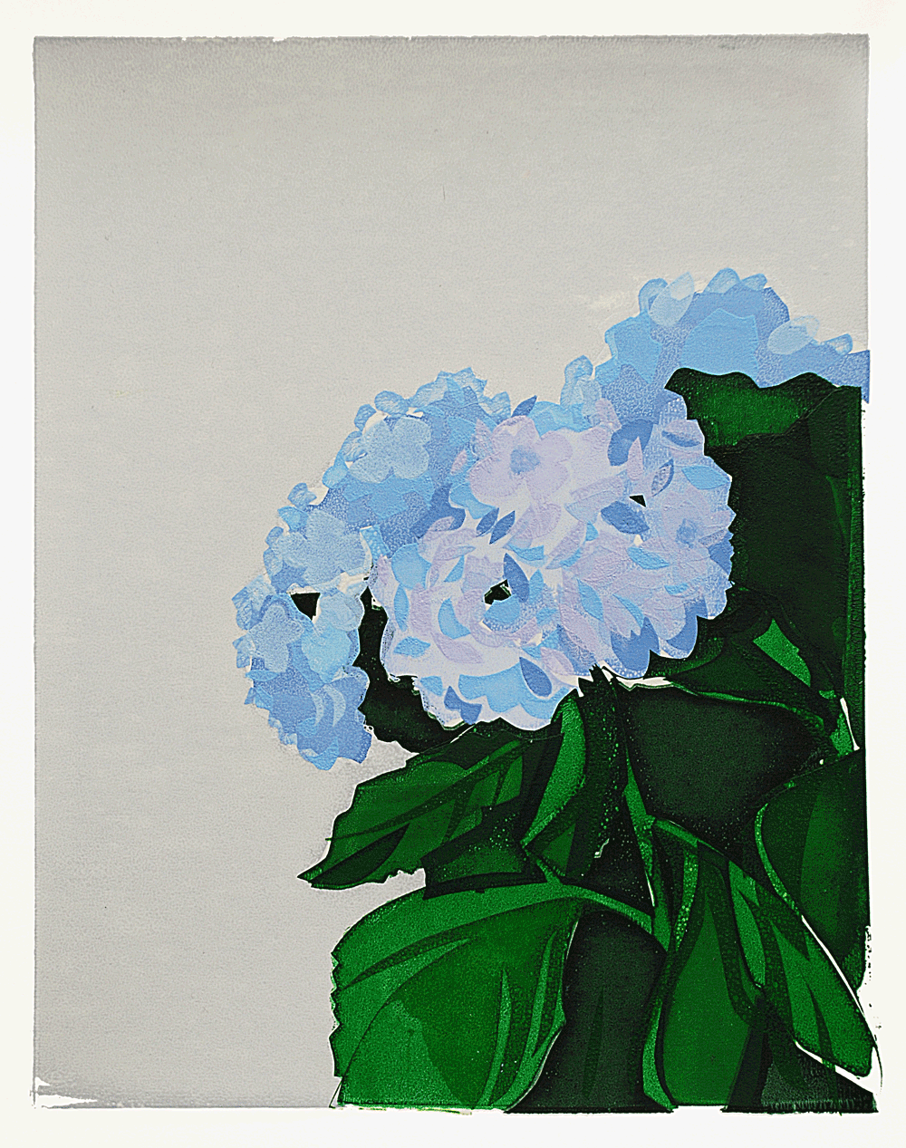 Hydrangea Variable monoprint