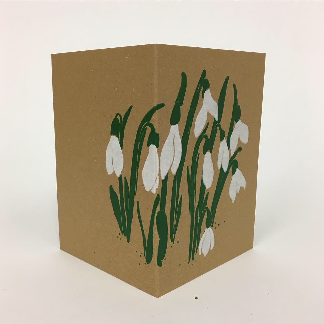 Jane Bain_©_Snowdrops.JPG