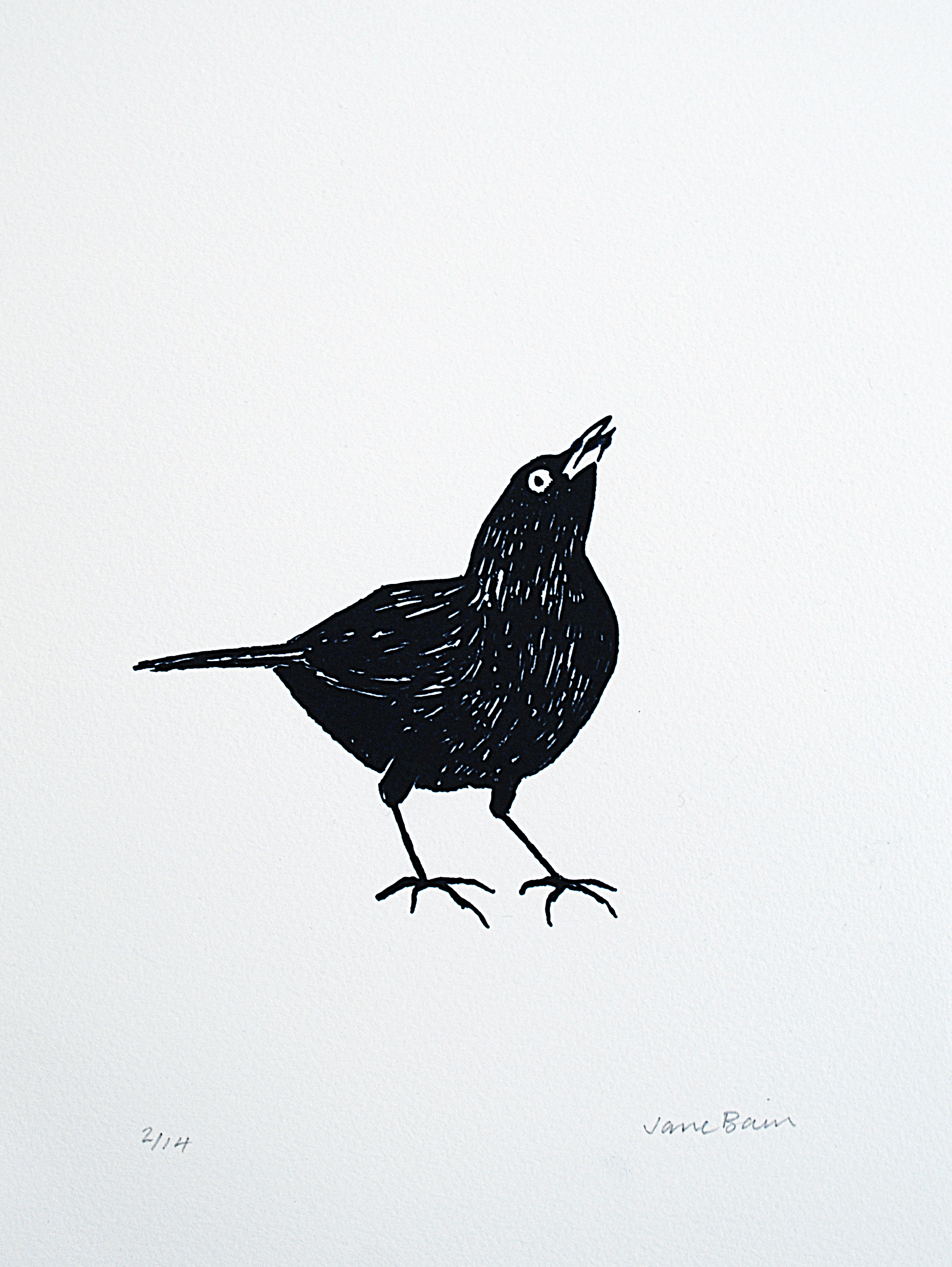  Blackbird Silkscreen print 
