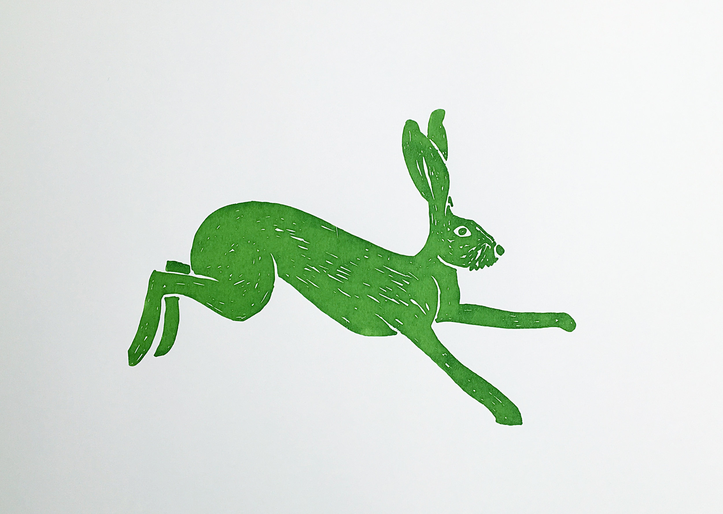  Hare green Silkscreen print 