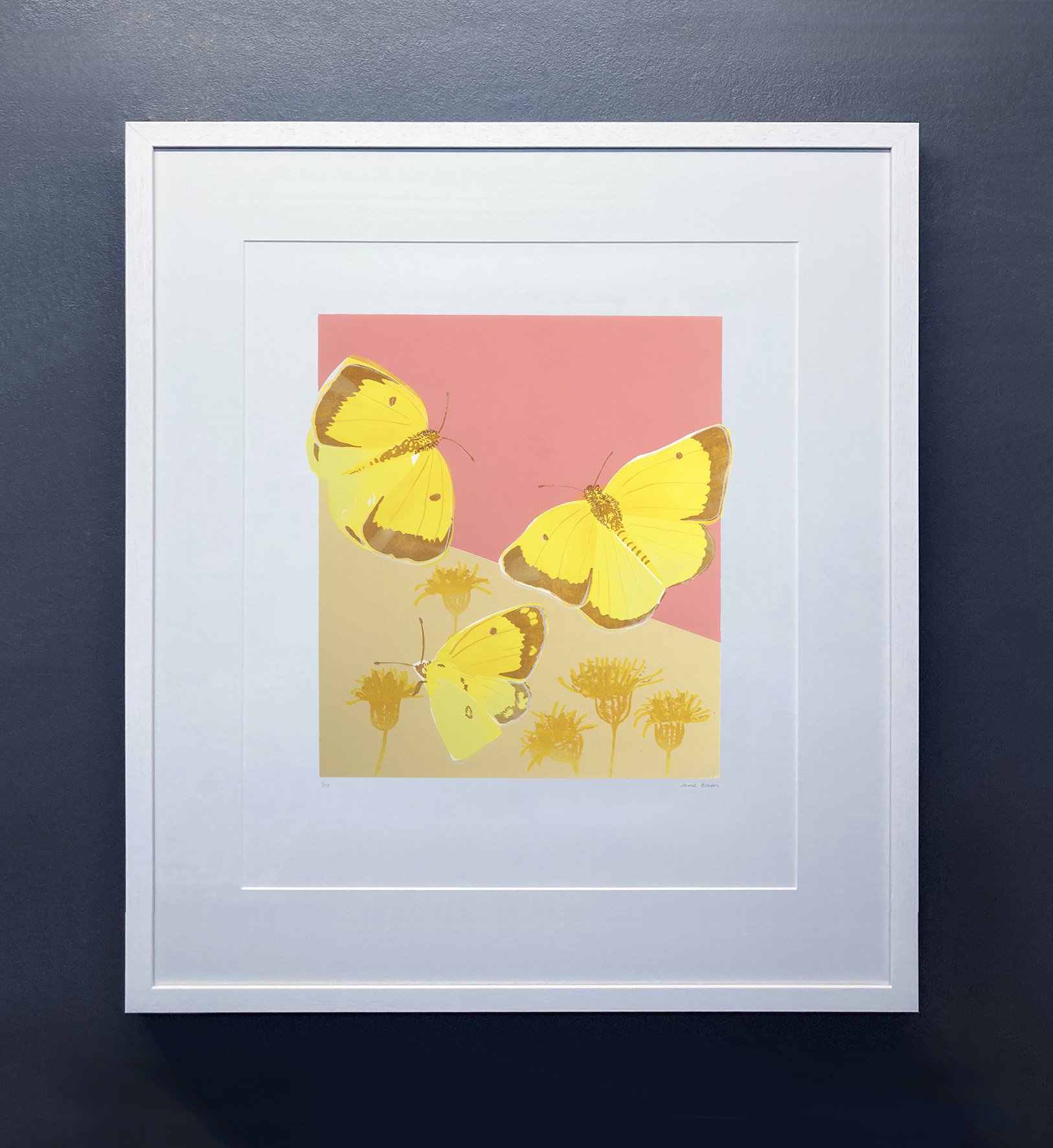   Clouded Yellow  Silkscreen print Unframed paper size: 297 x 420mm 