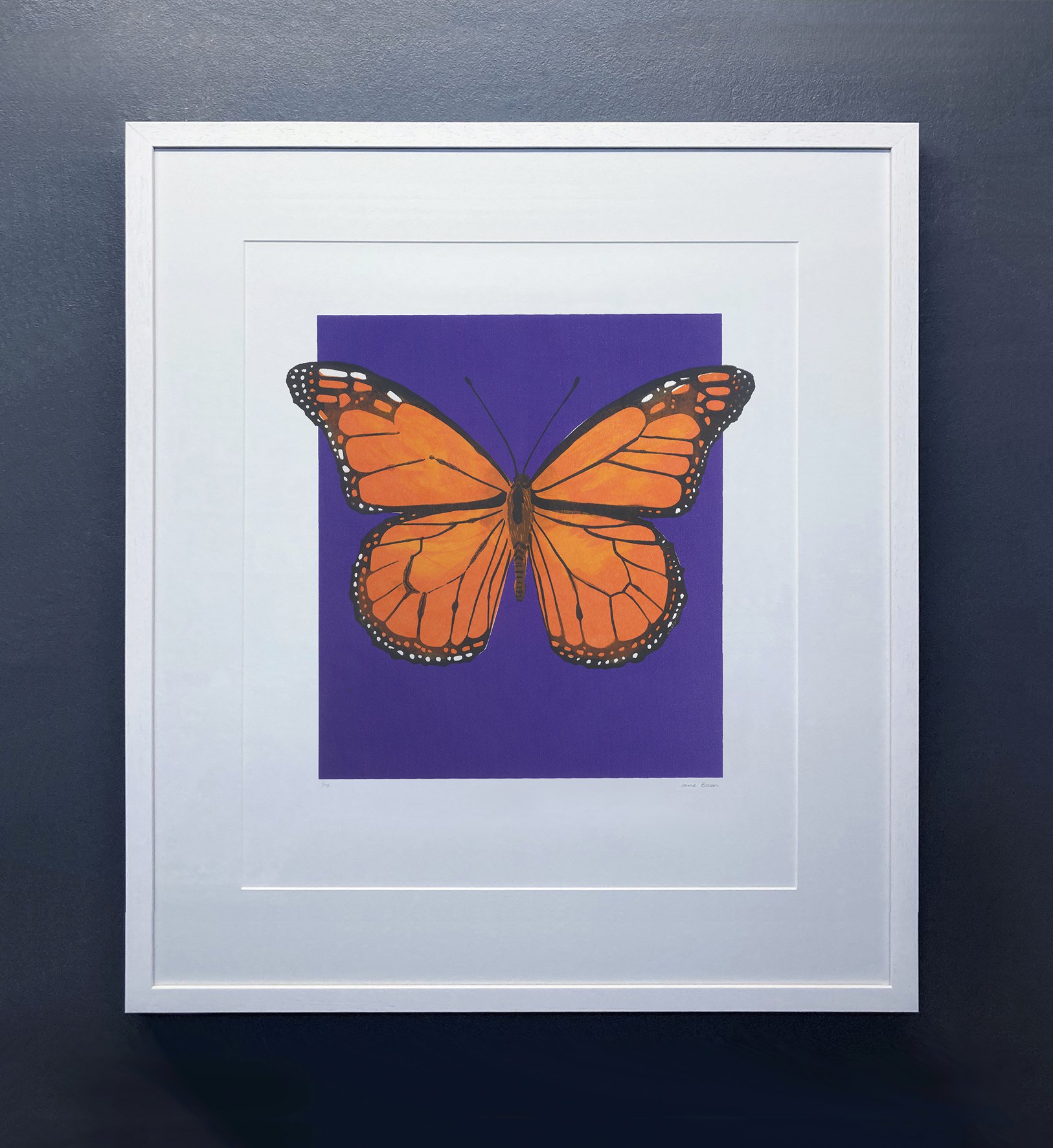  Monarch  Silkscreen print Unframed paper size: 297 x 420mm 
