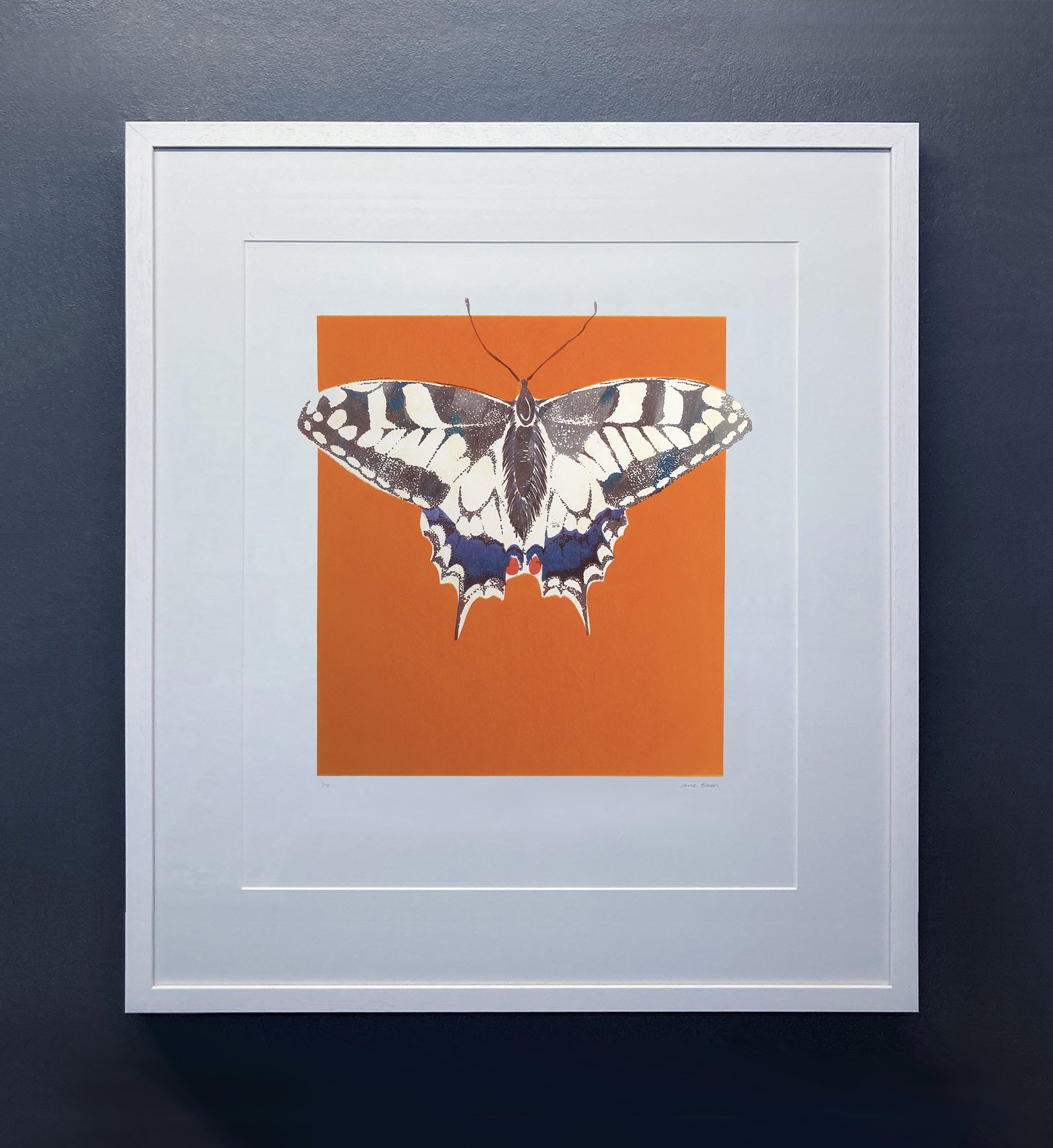   Swallowtail  Silkscreen print Unframed paper size: 297 x 420mm 