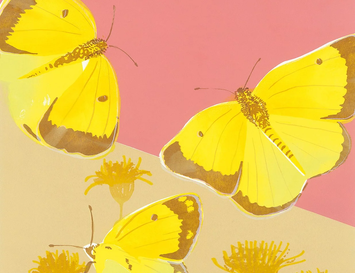 Jane Bain_Clouded Yellow_detail.jpg