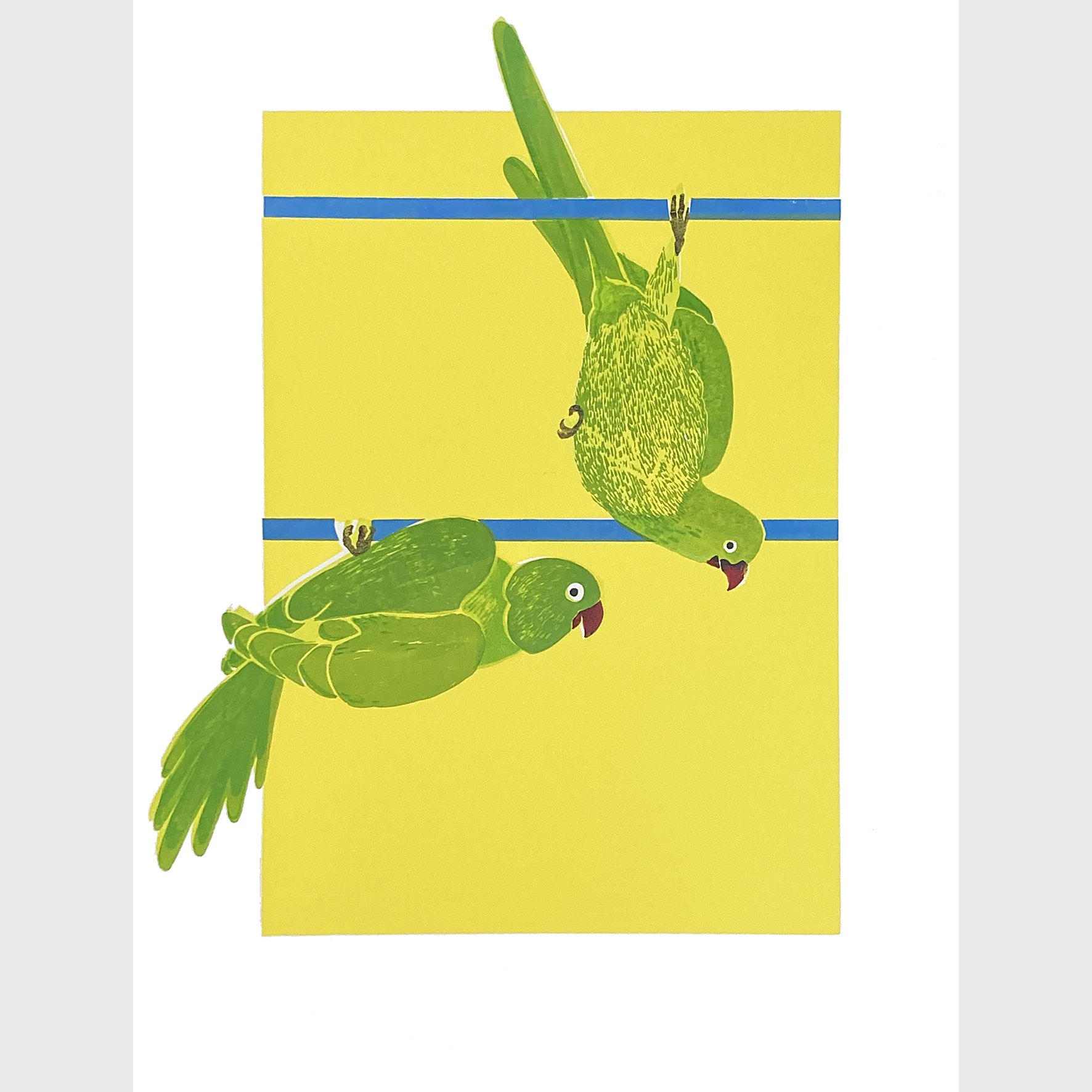   Parakeets  Silkscreen print Unframed paper size: 420 x 594mm 