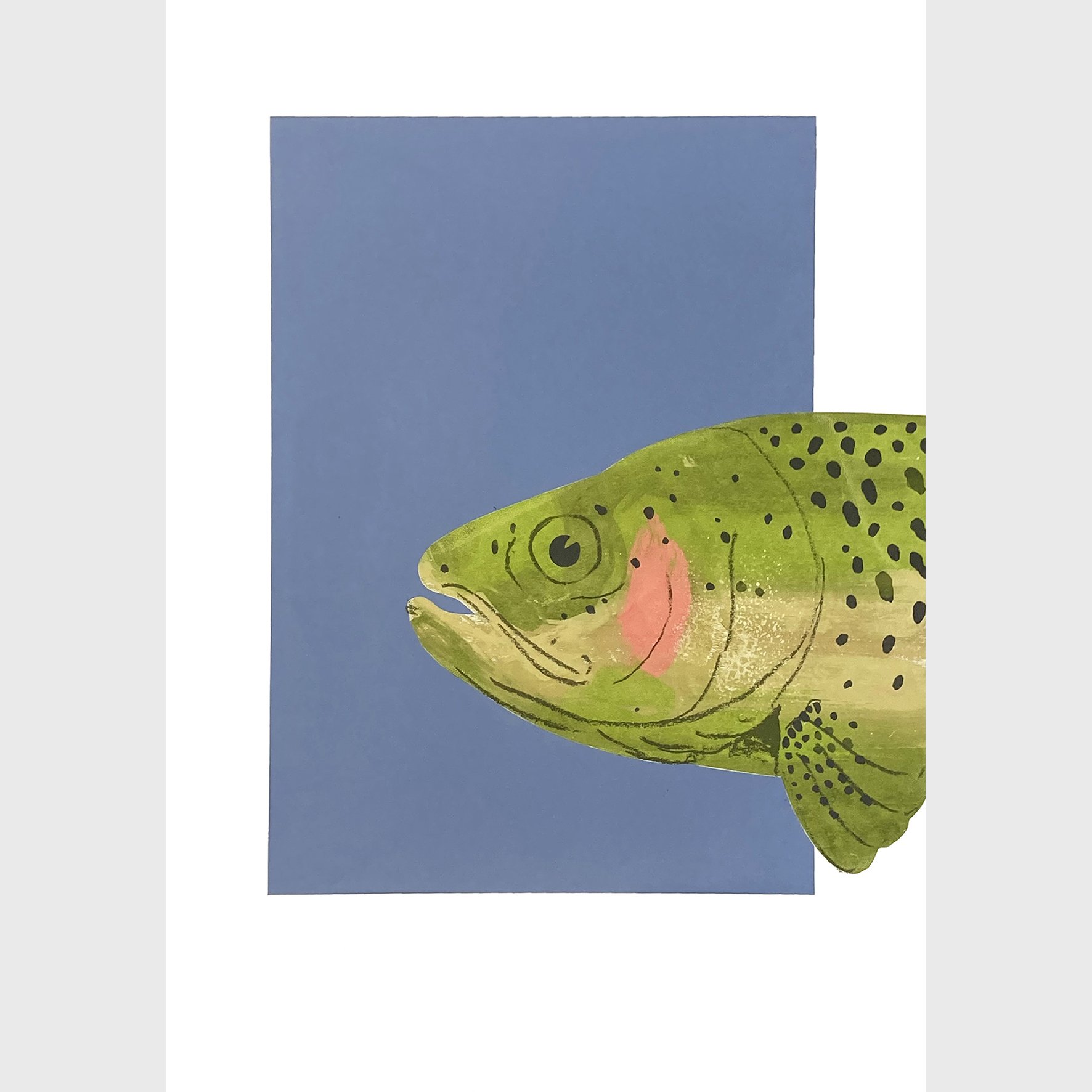   Fish Face (Rainbow Trout)  Silkscreen print Unframed paper size: 420 x 594mm 