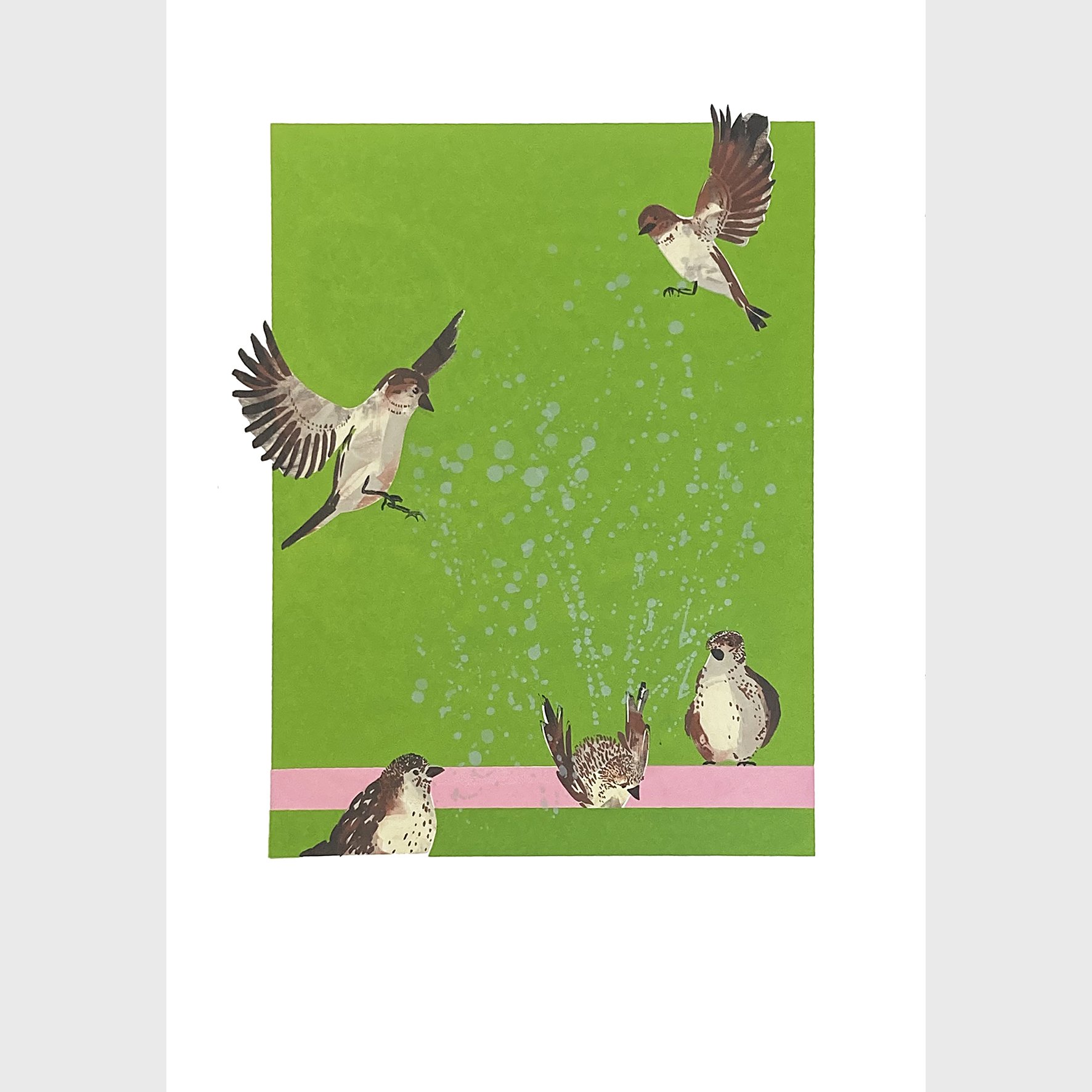   Splish Splash (Sparrows)  Silkscreen print Unframed paper size: 420 x 594mm 