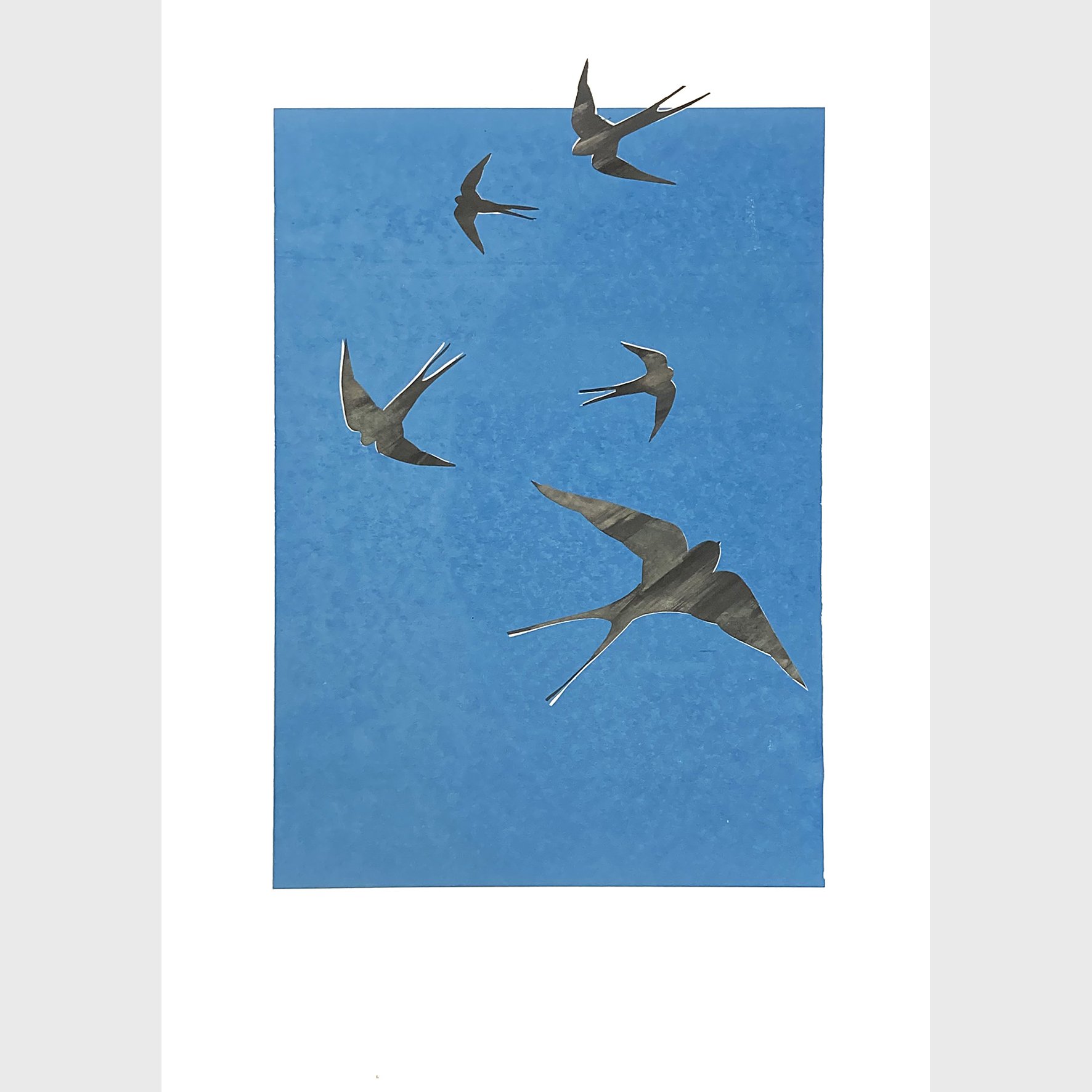 Jane Bain_©_Swallows_Screenprint_sq.jpg